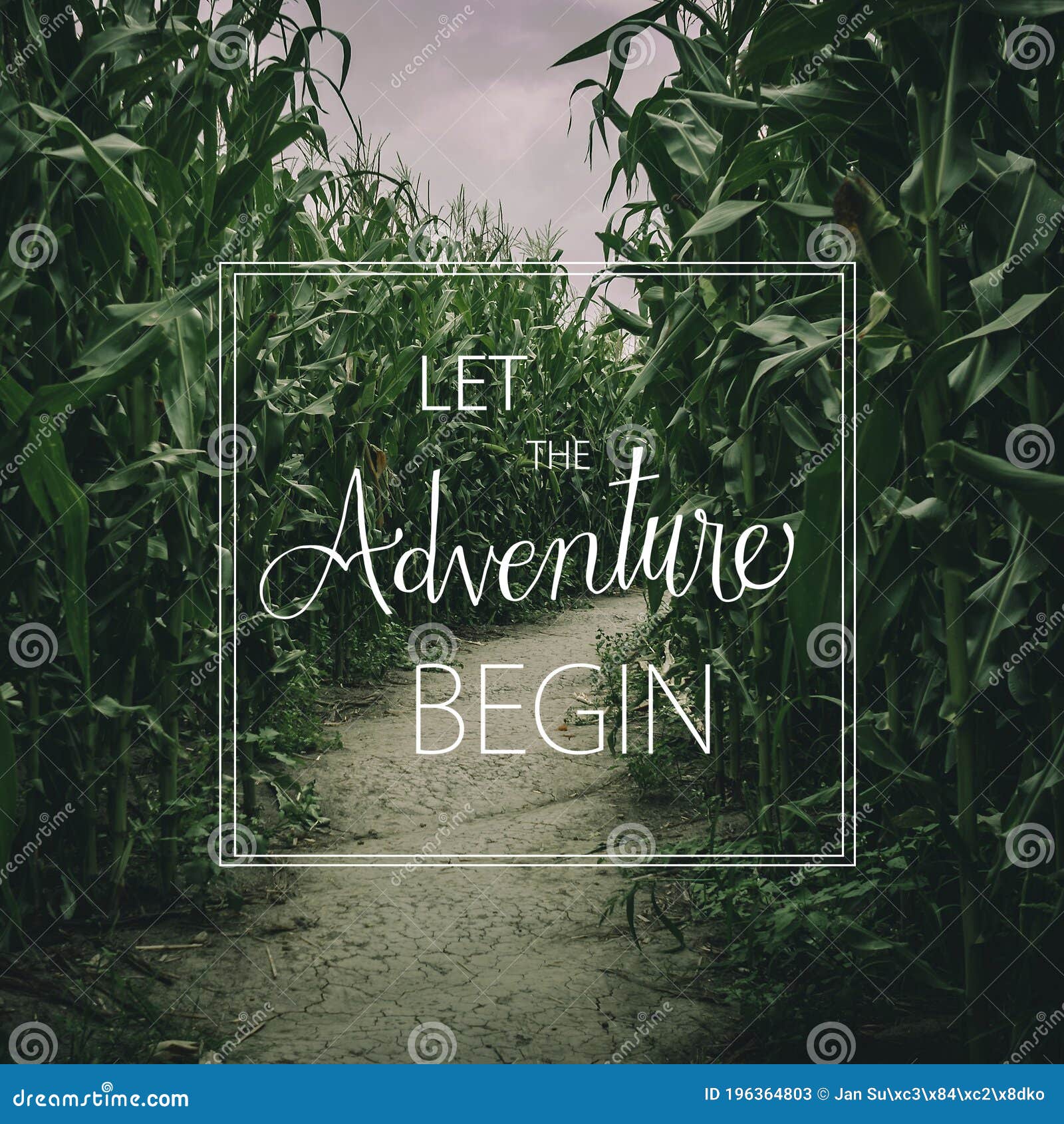 Laissez L Aventure Commence Le Concept De Citation Par Le Chemin Deprime Du Labyrinthe De Mais D Ete Image Stock Image Du Zone Atmosphere
