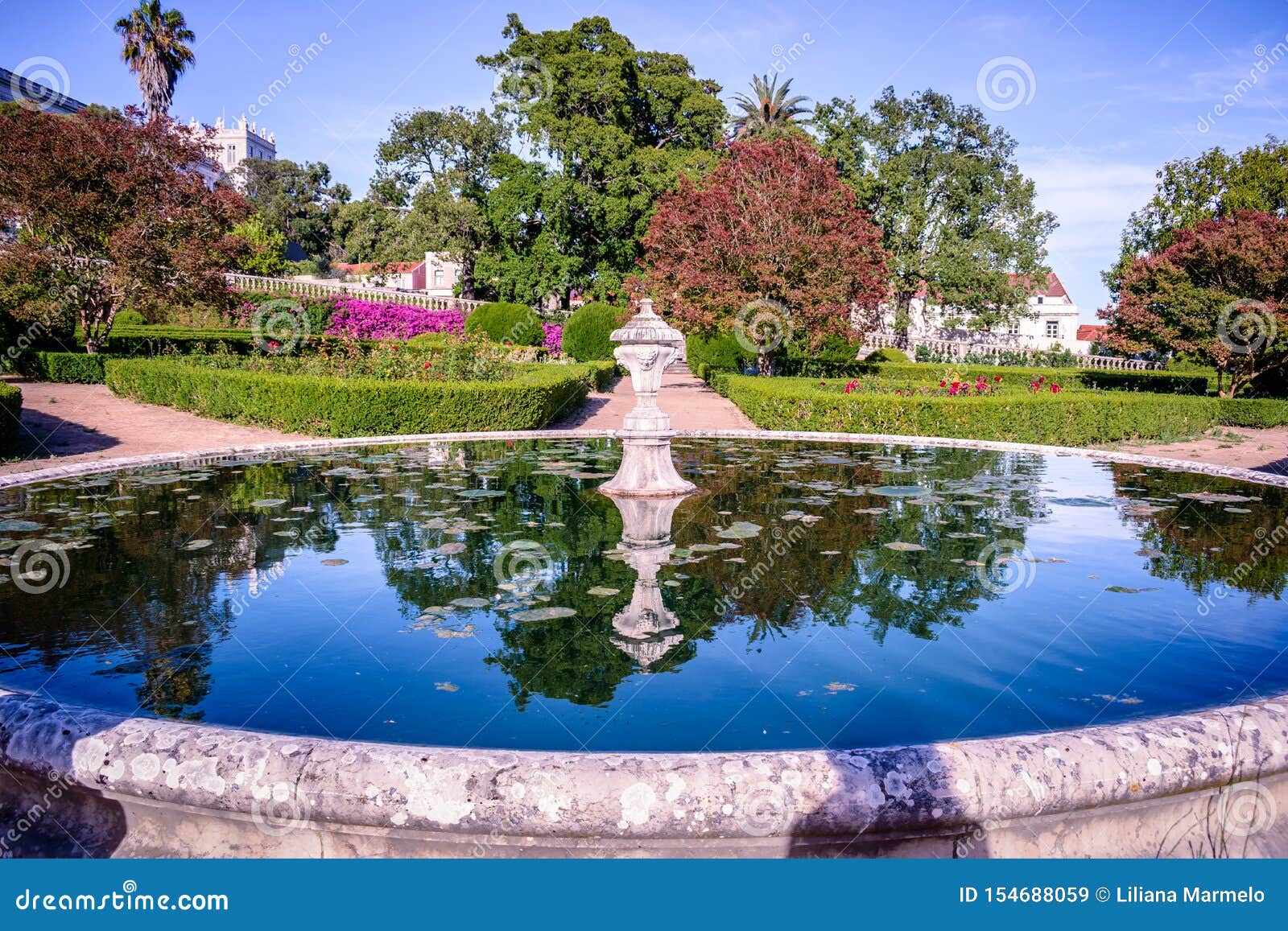Lake in the Ajuda Botanical Garden, Reflection of the Vegetation 
