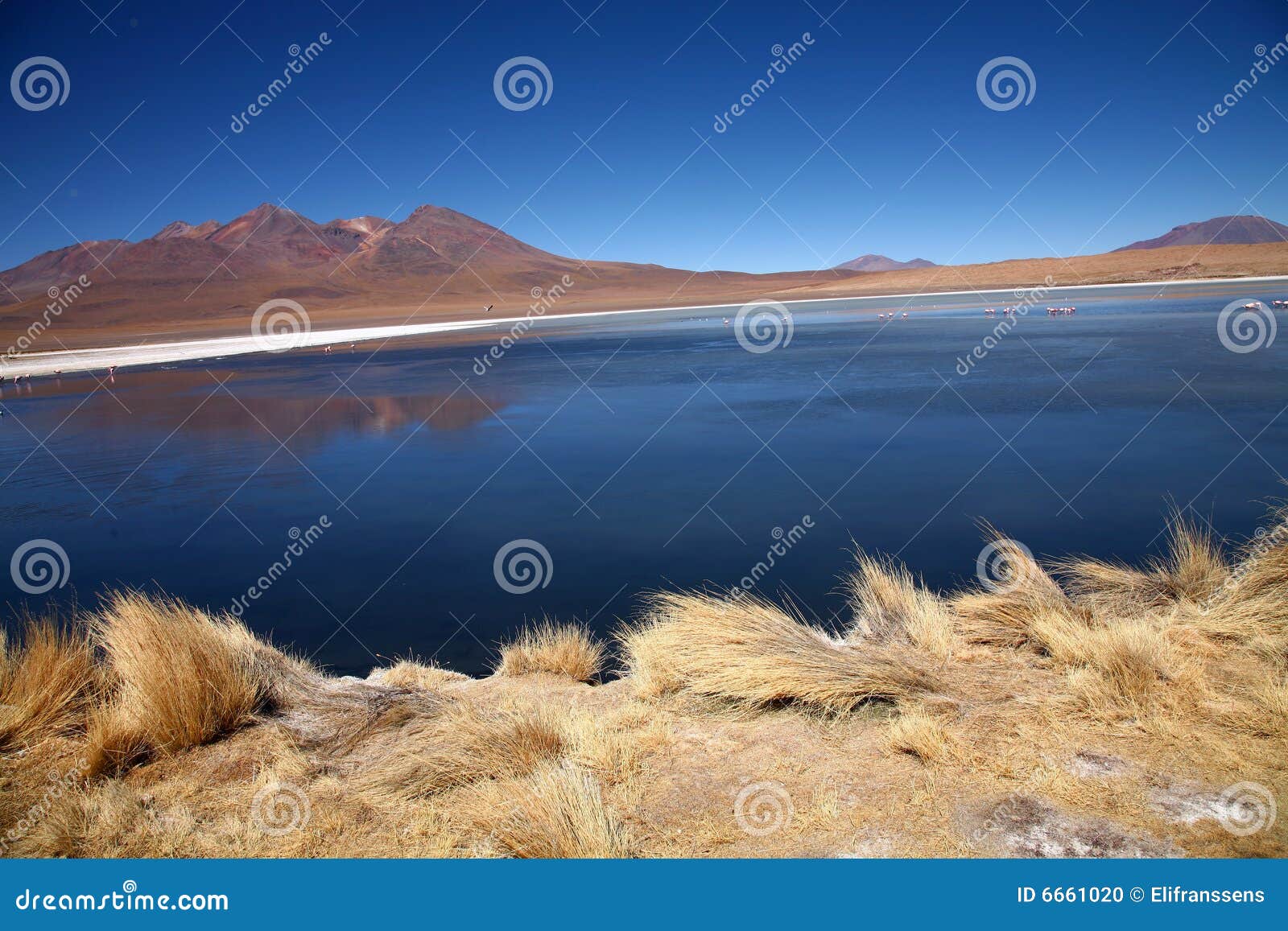 Lake in the Andes, Bolivia stock photo. Image of lagoon 6661020