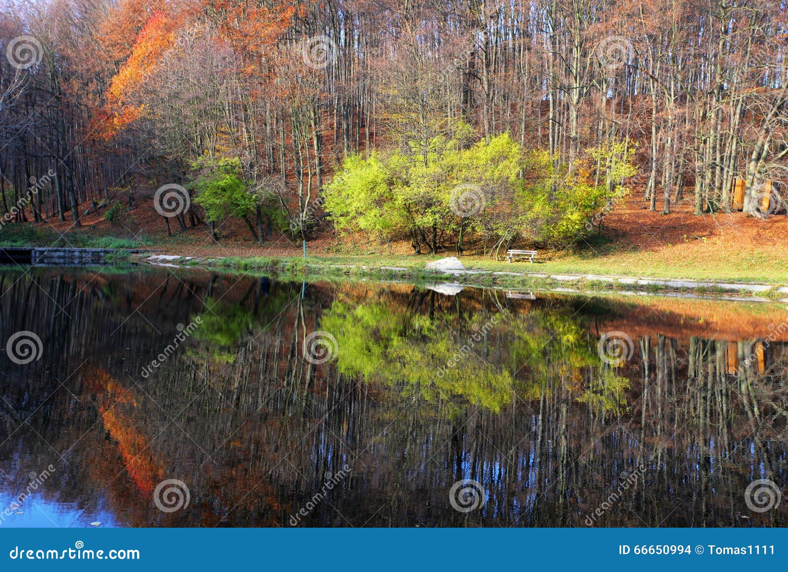 lake with autumn forest reflectio, zochova chata