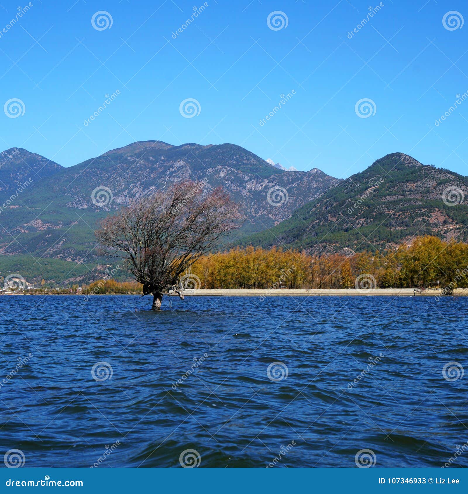 lake in autumn with golden trees