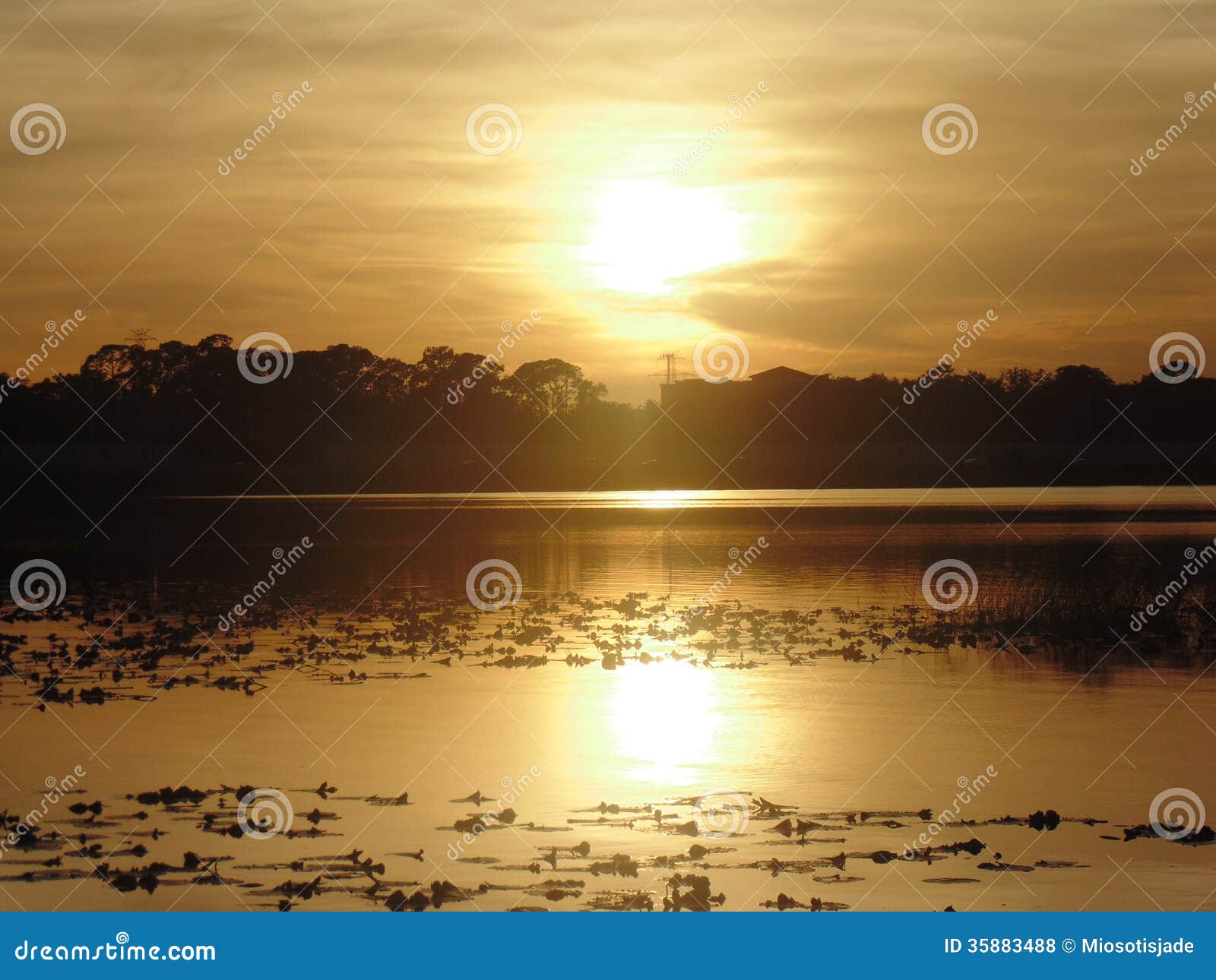 lago en el otono