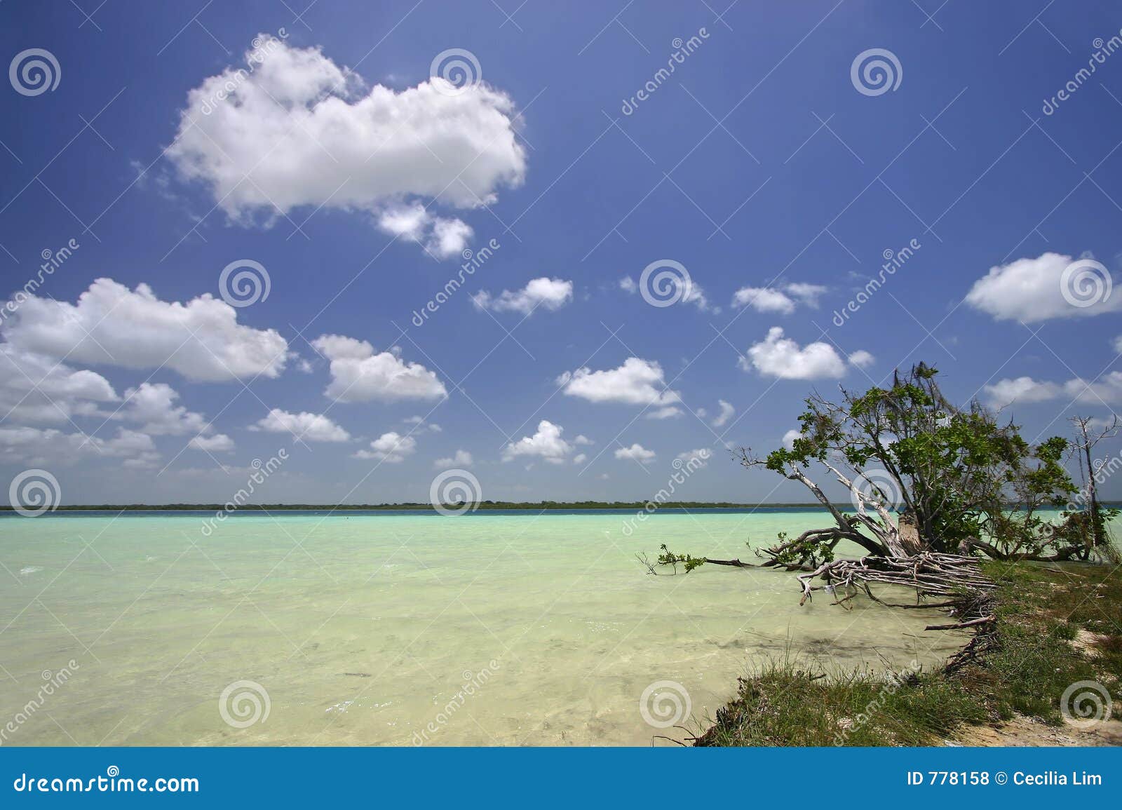 Lake Bacalar, Quintana Roo, Mexico Stock Photo Image of paradise
