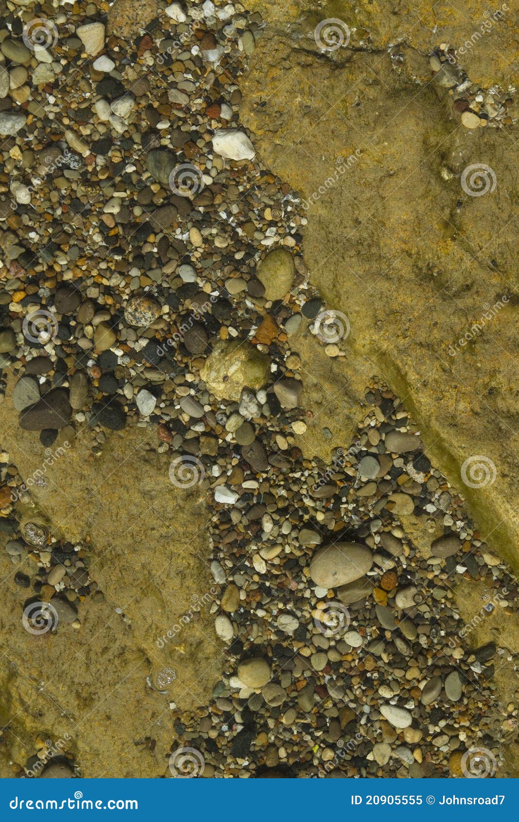 Lake Bottom stock image. Image of ocean, michigan, lakes 20905555