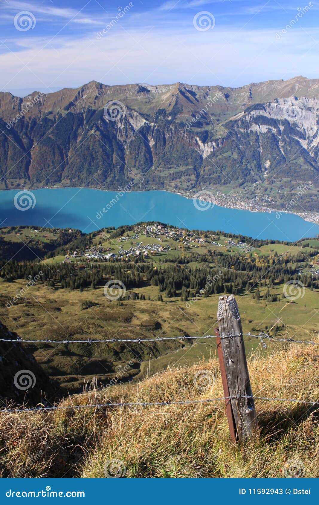 Lake Brienz in Switzerland stock image. Image of lake 11592943