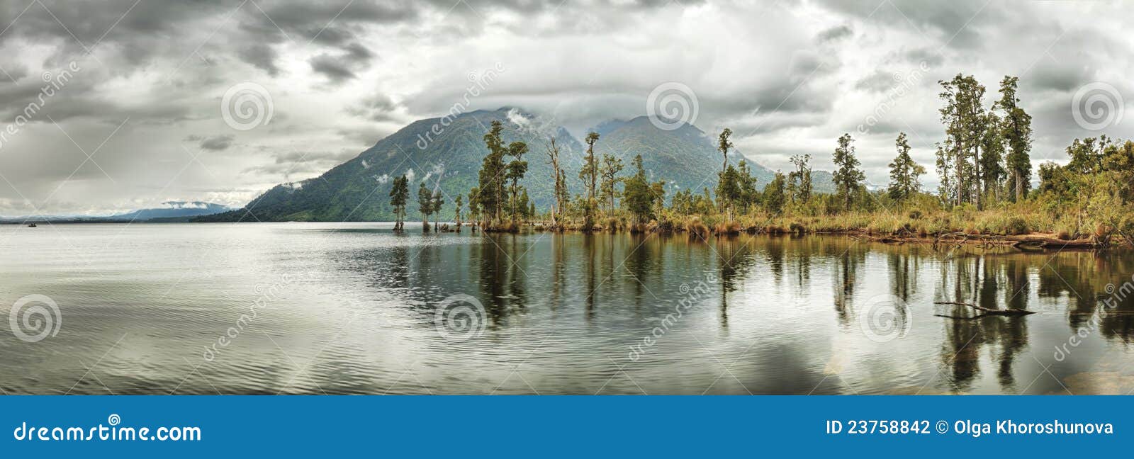 Lake Brunner stock photo. Image of forest, island, pass 23758842