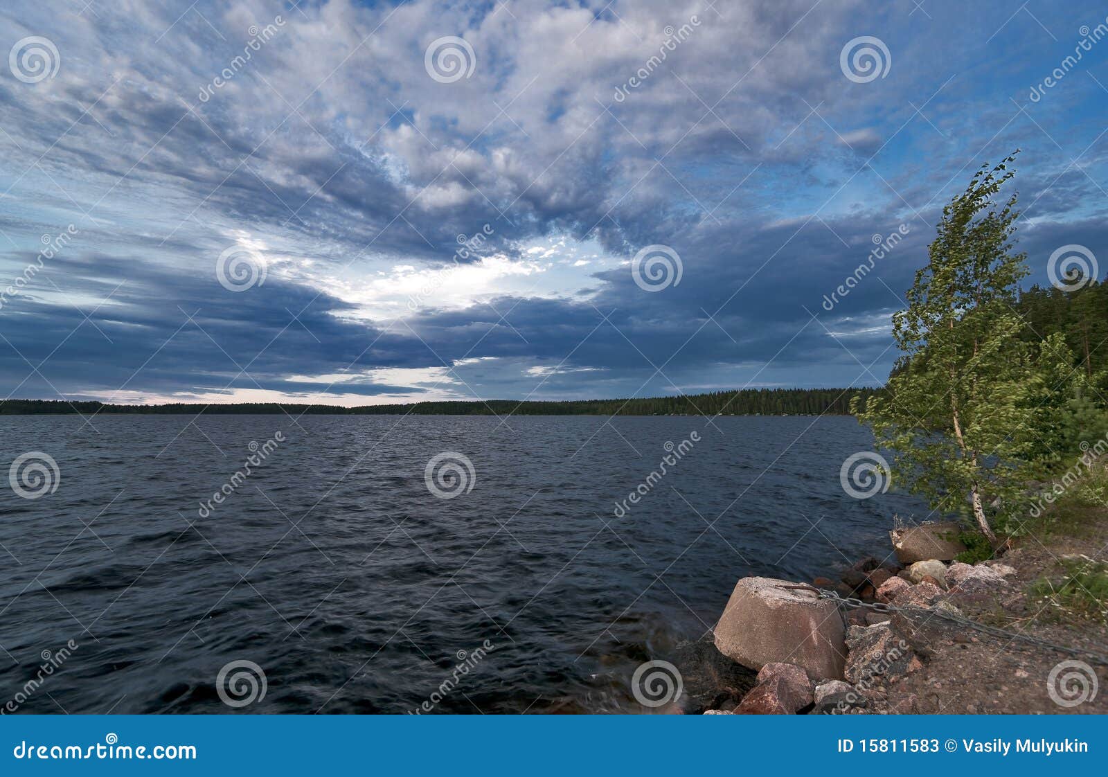 Lake in Cloudy Windy Weather Stock Image Image of trees, windy 15811583