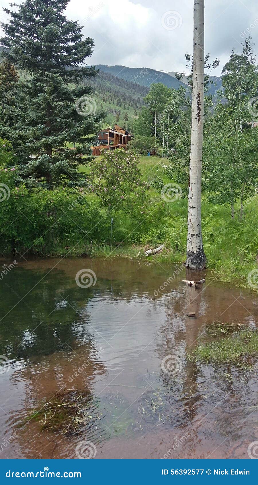 Lake at the condos stock image. Image of water, condos 56392577