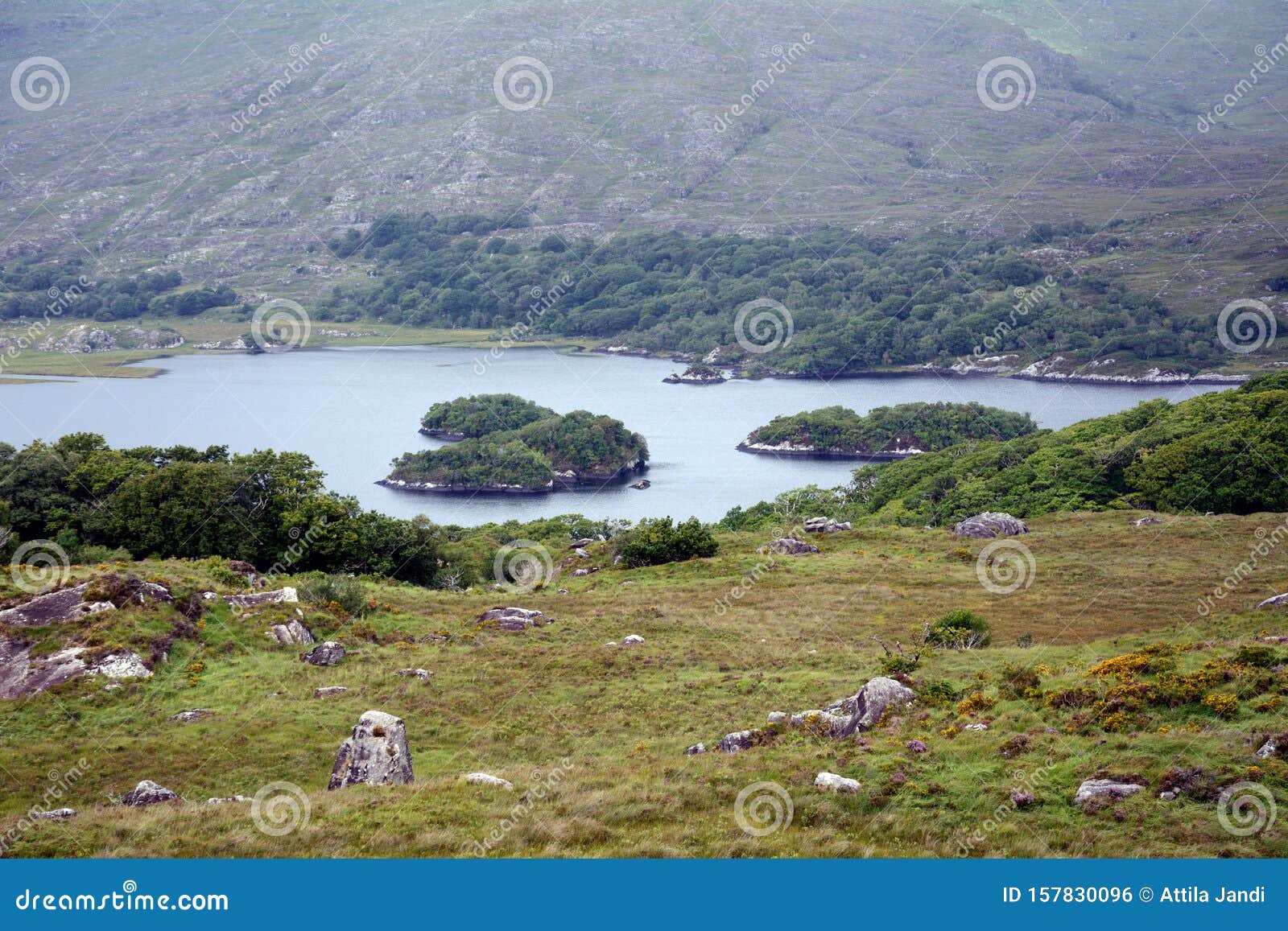Connemara National Park, Ireland Stock Photo - Image of natural ...