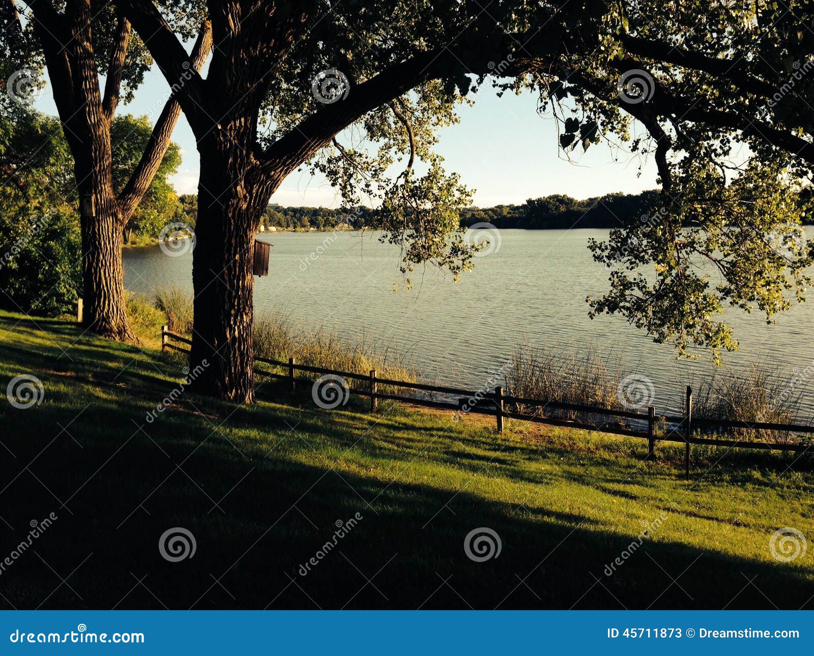 Lake Crystal stock image. Image of crystal, lake, trees 45711873
