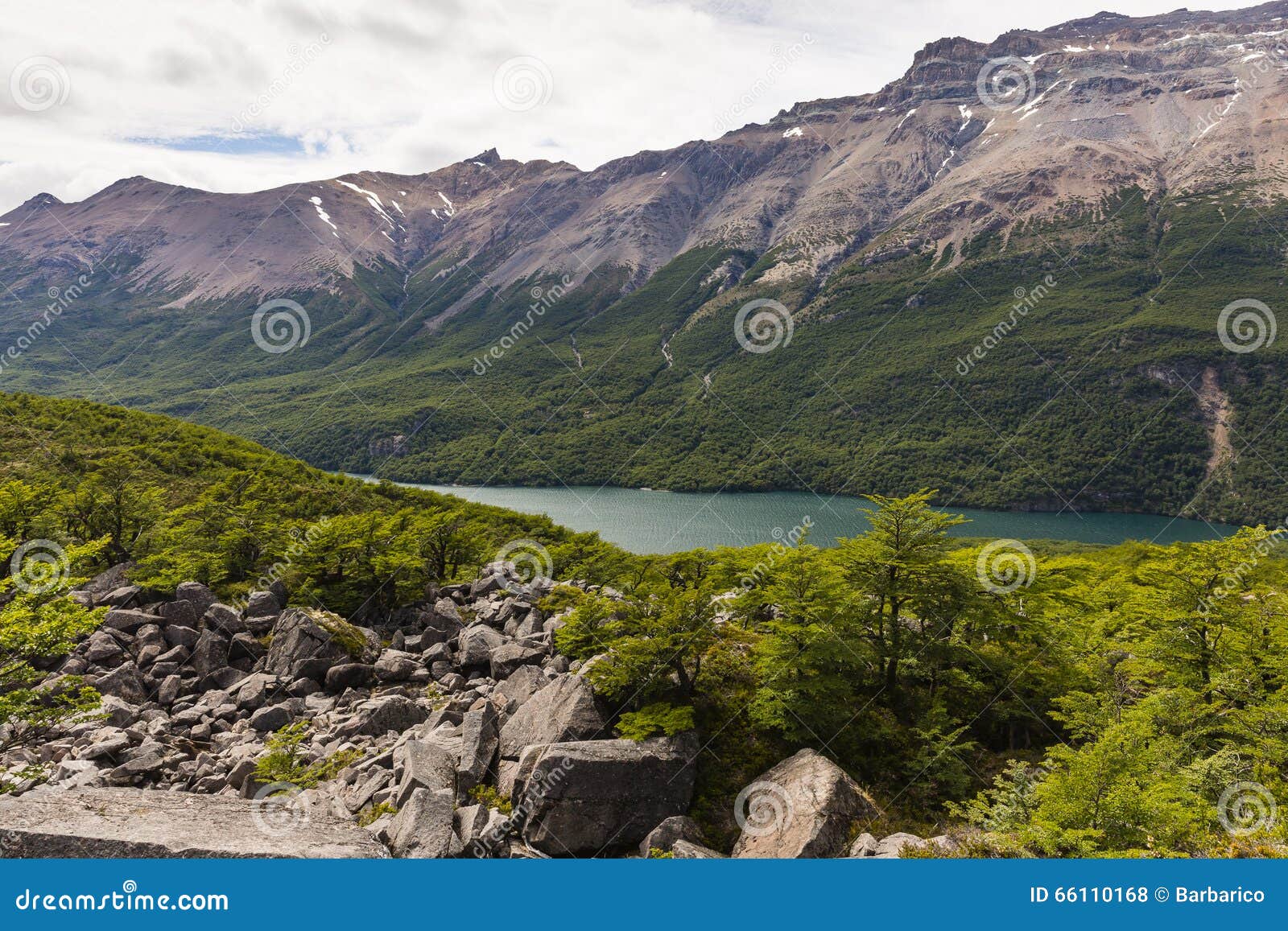 lake del desierto, mountains and forest