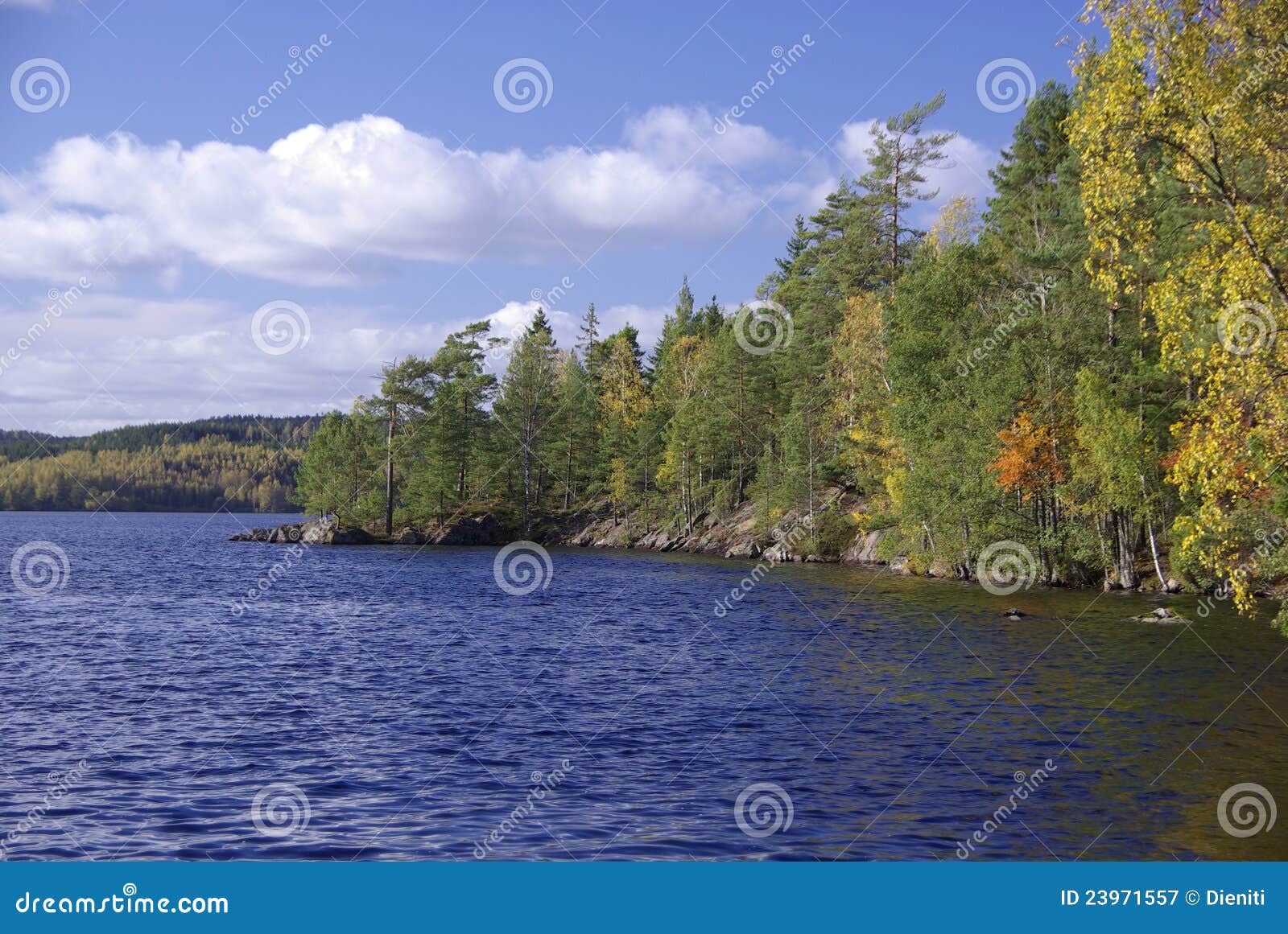 Lake in fall, Sweden stock image. Image of fall, summer - 23971557