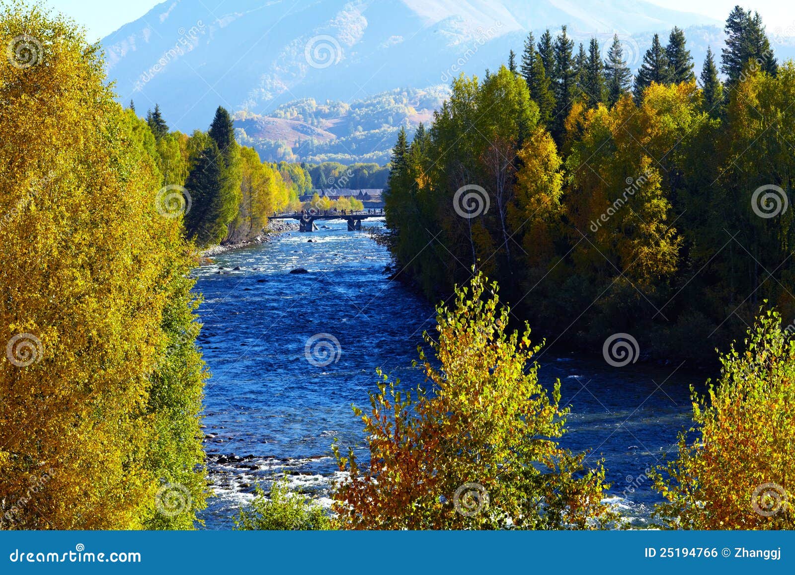 Lake And Forest In Sichuanchina Stock Photo Image Of Protected Lake