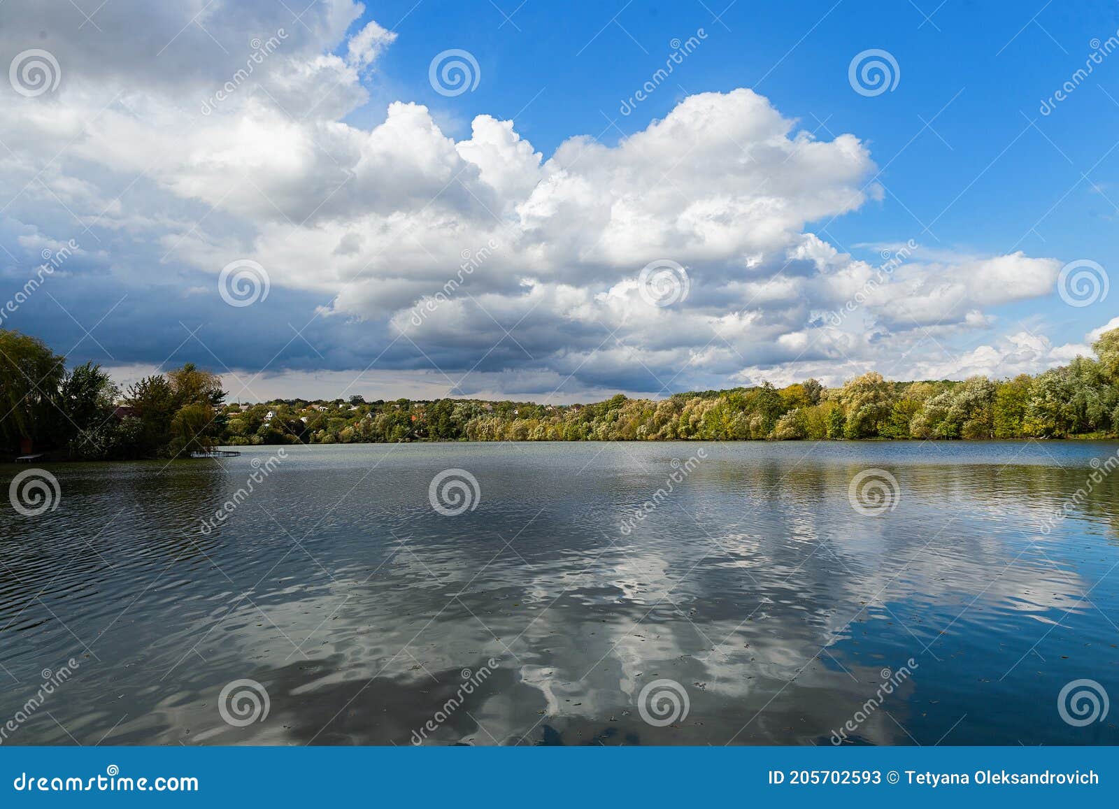 lake in the forest