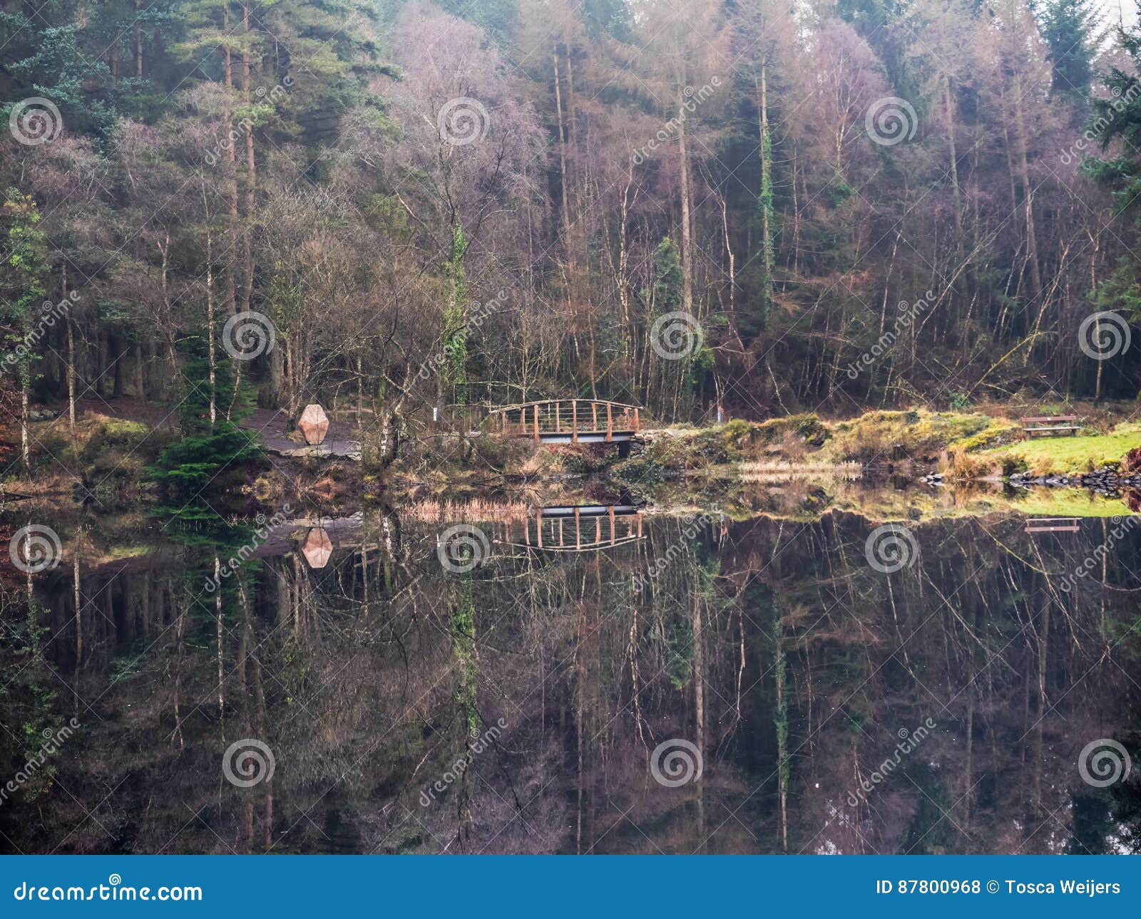 Lake in Galloway Park, Scotland Stock Photo Image of britain, summer