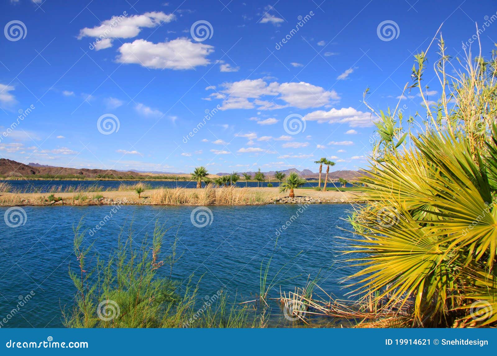 Lake Havasu stock image. Image of palm, photographic 19914621