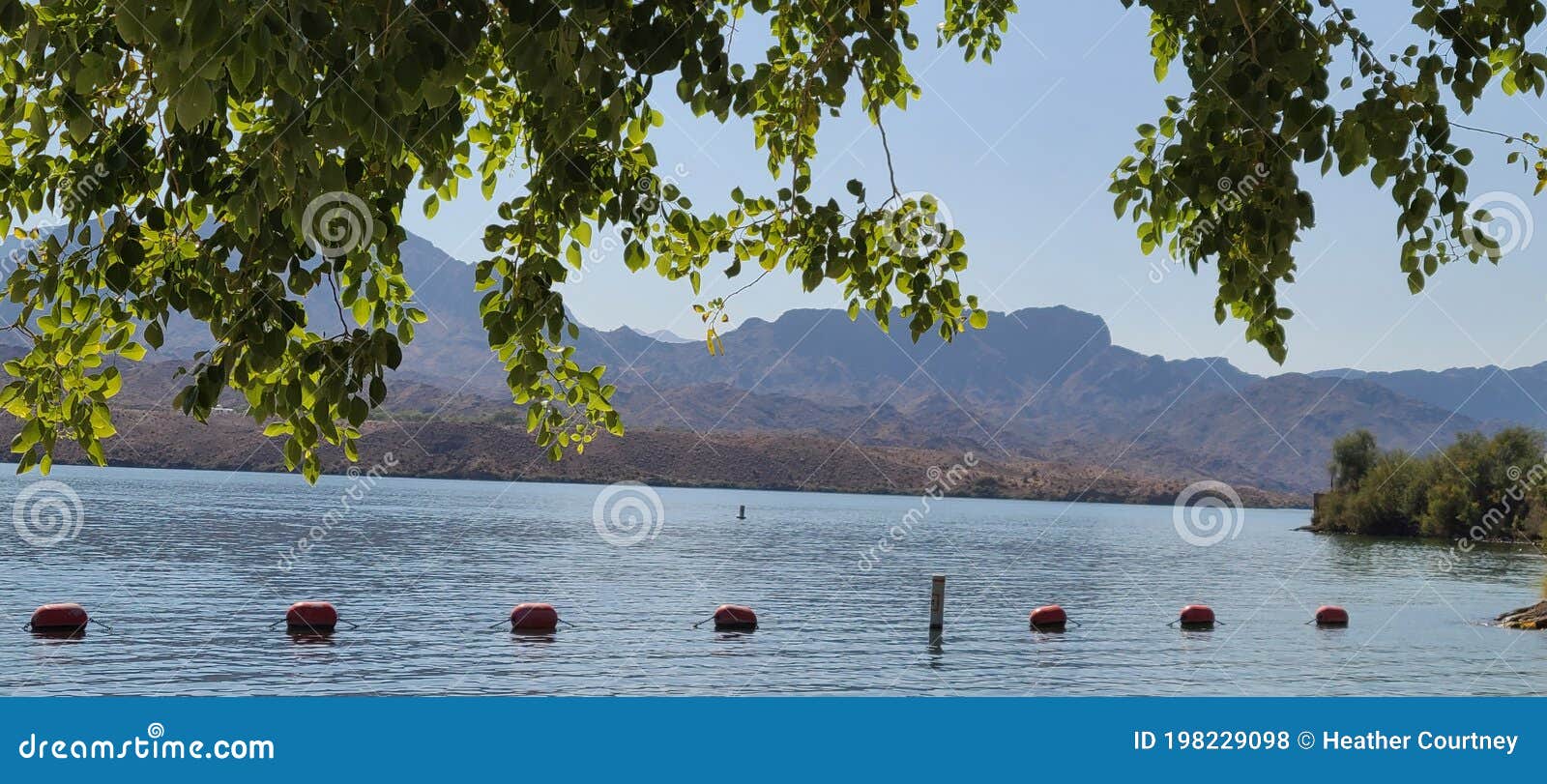 Lake Havasu Colorado River stock photo. Image of coast 198229098