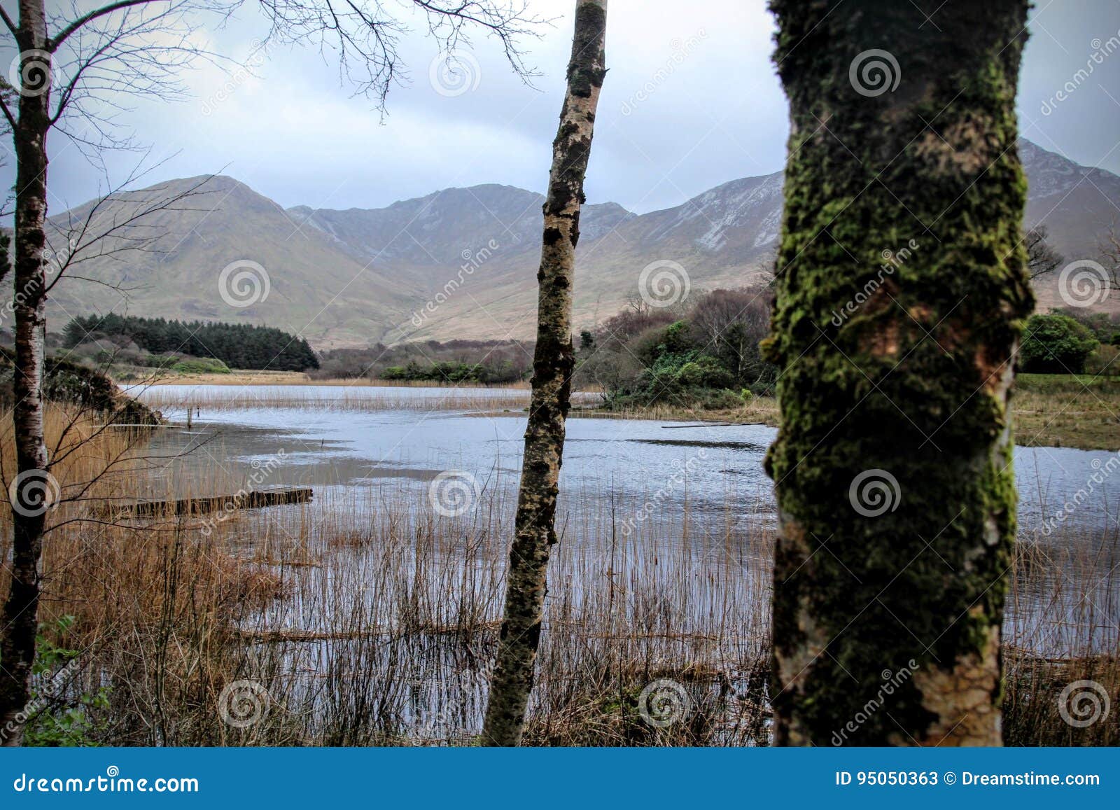 a lake in the hills