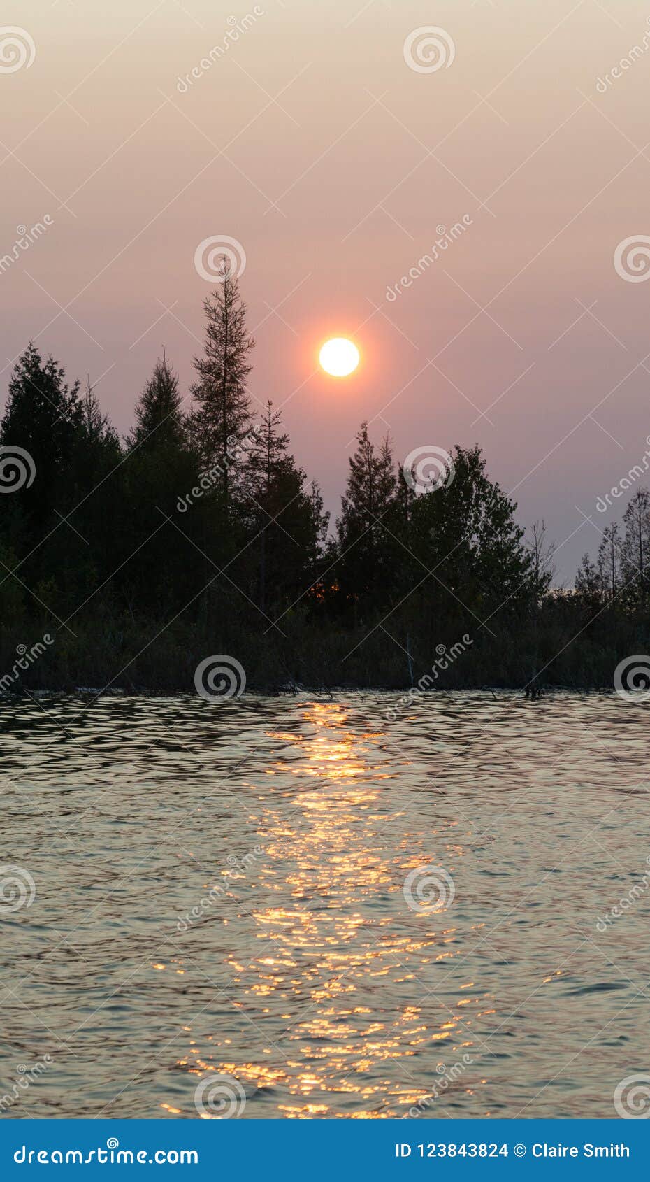 Lake Huron Landscape Sunset with Conifer Tree Silhouettes Stock Photo