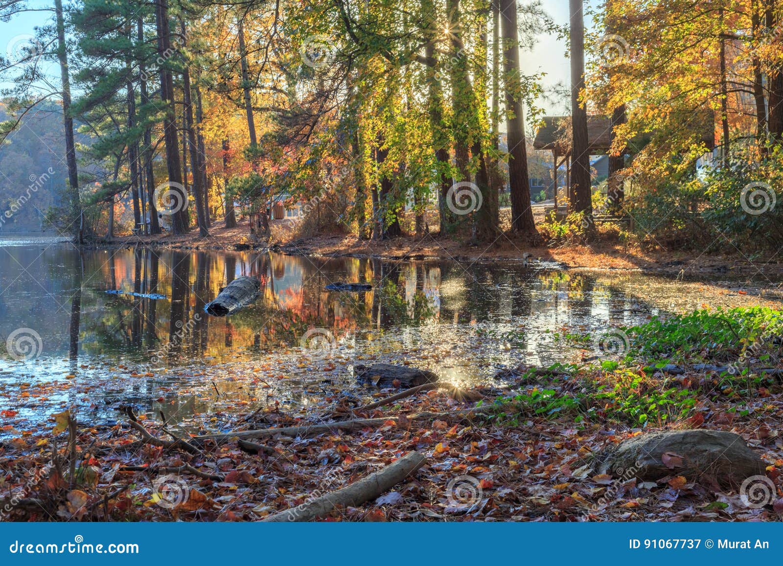 Lake Johnson Raleigh, NC stock image. Image of calming 91067737