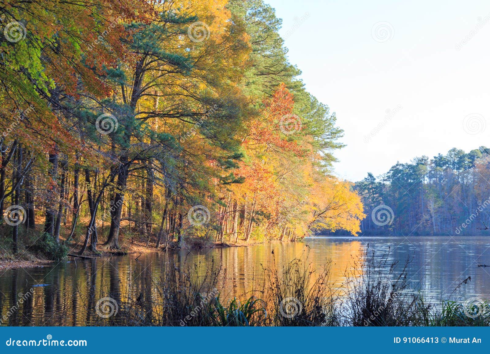 Lake Johnson in Raleigh, NC during Fall Season Stock Image Image of carolina, colorful 91066413