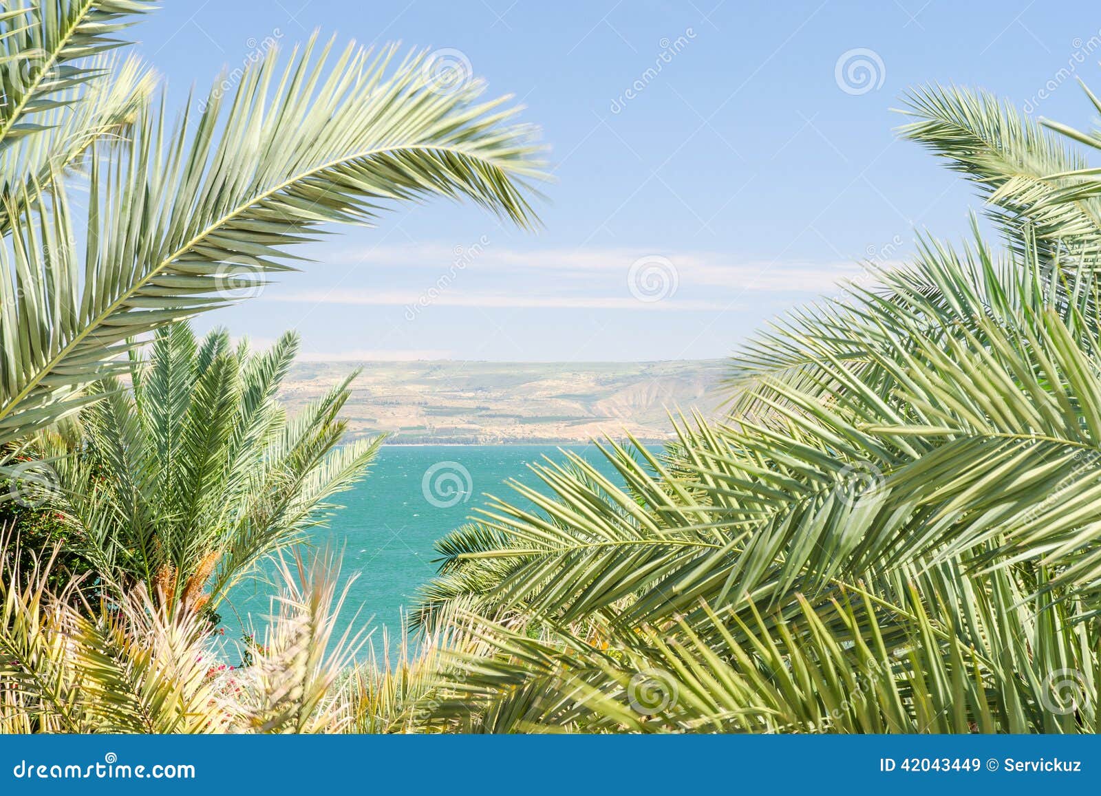 lake kinneret or sea of galilee in the frame of palm fronds