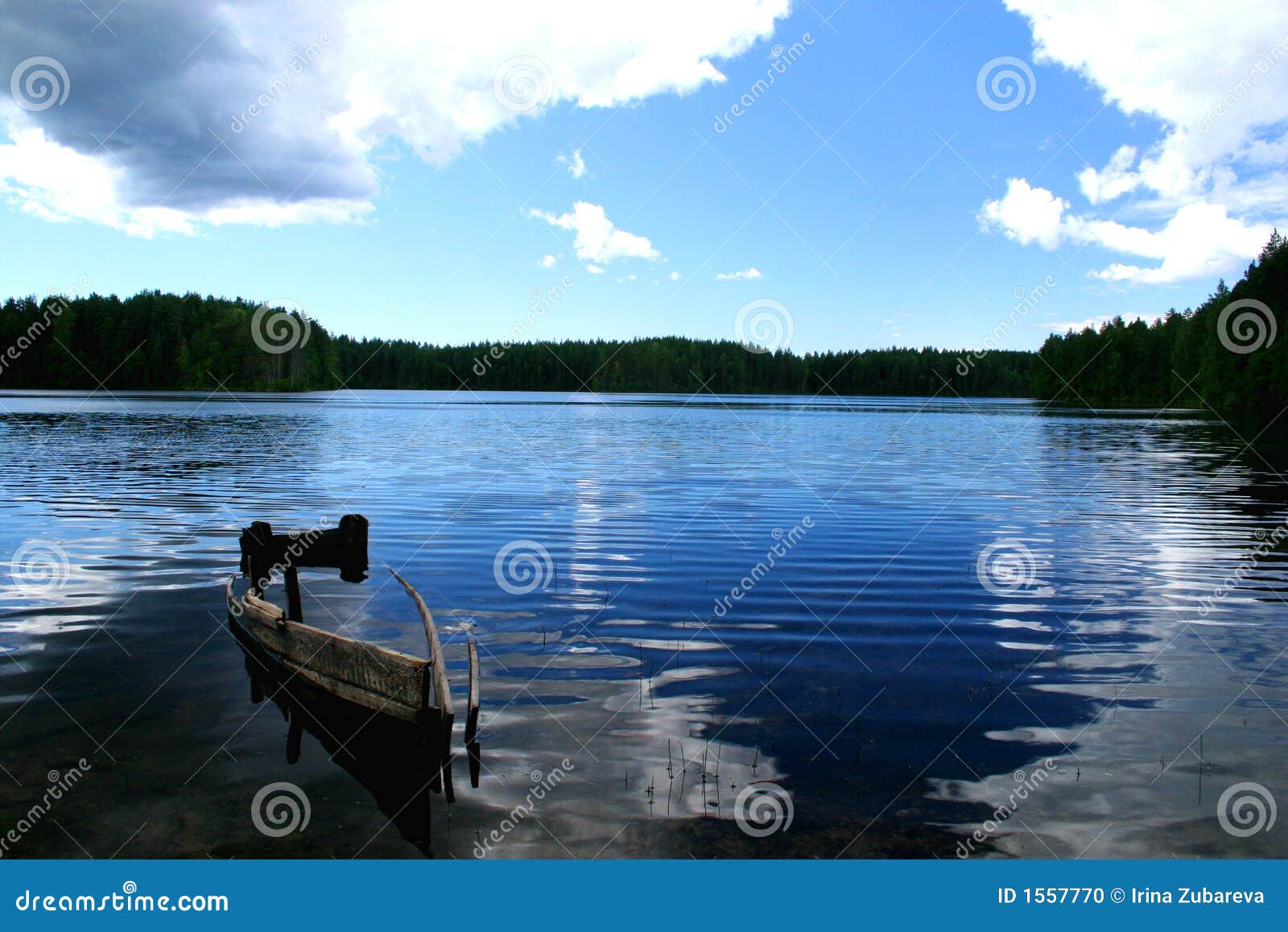 Lake Ladoga. a beach. stock photo. Image of juniper, forest 1557770