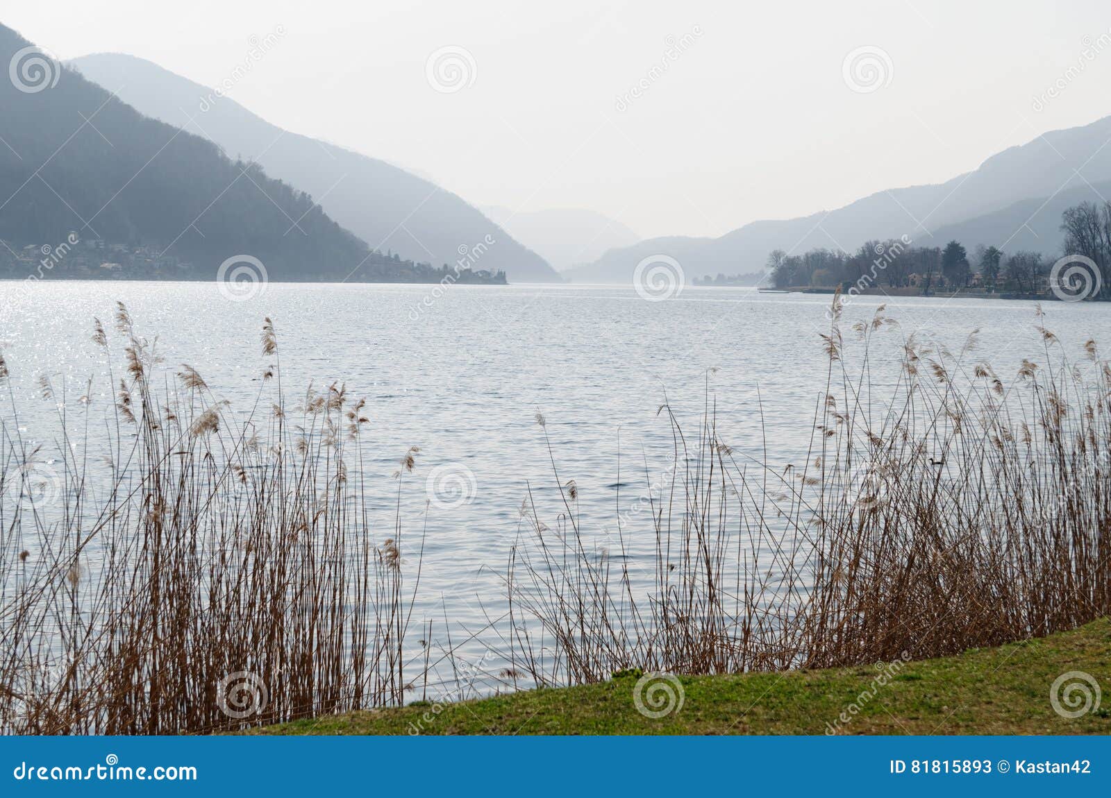 lake lago di lugano, switzerland, with dry reeds and mountains