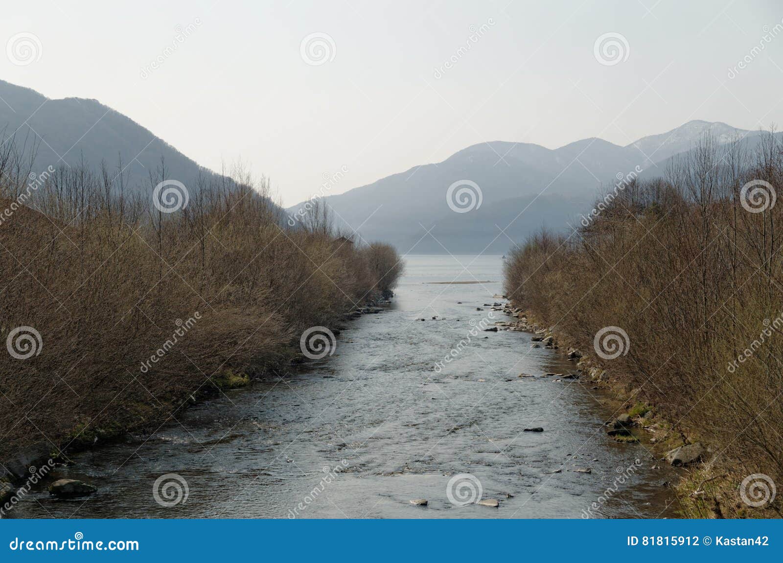 lake lago di lugano, switzerland, with dry trees and mountains