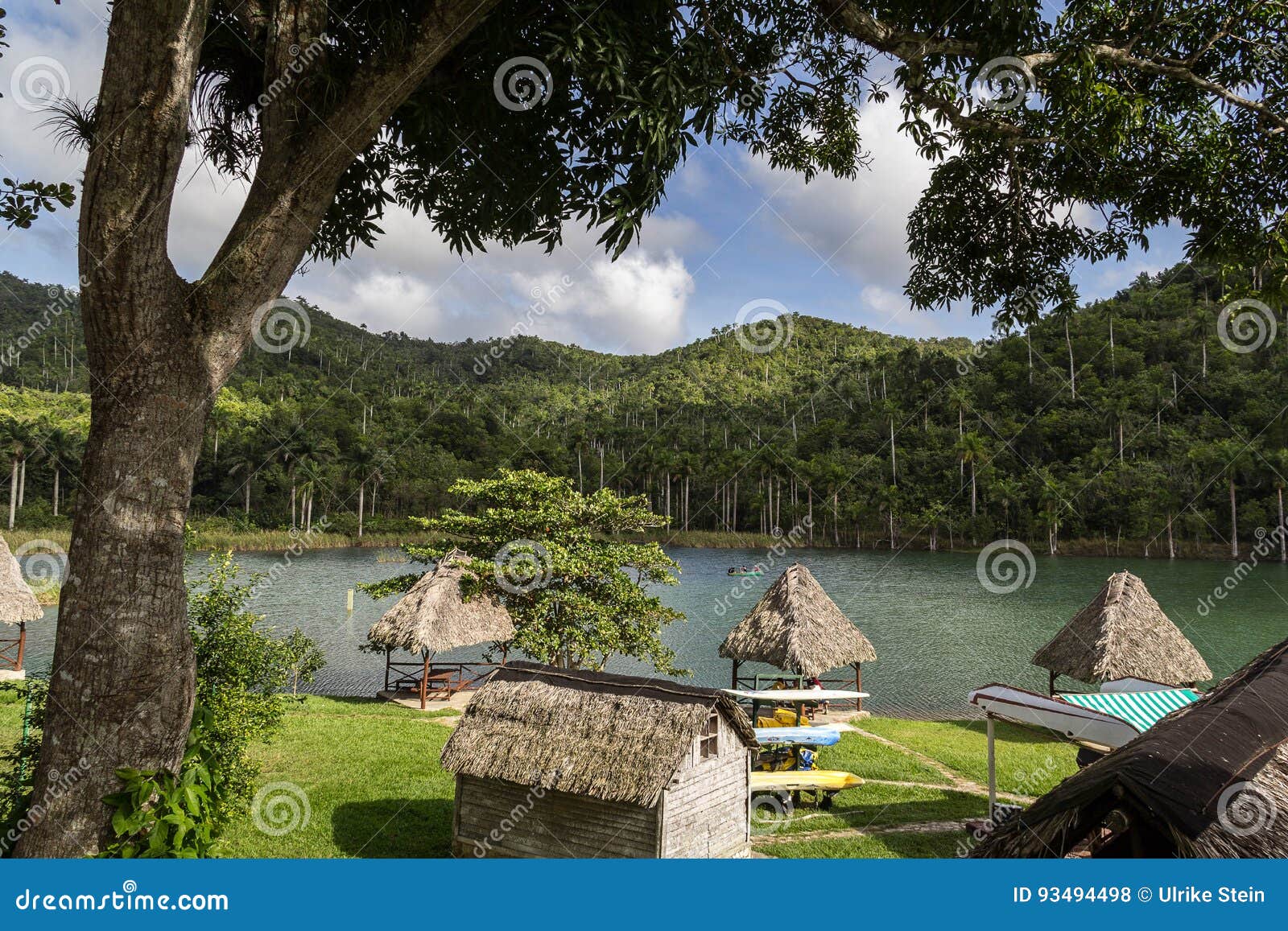 Lake at Las Terrazas, Cuba stock photo. Image of soroa 93494498
