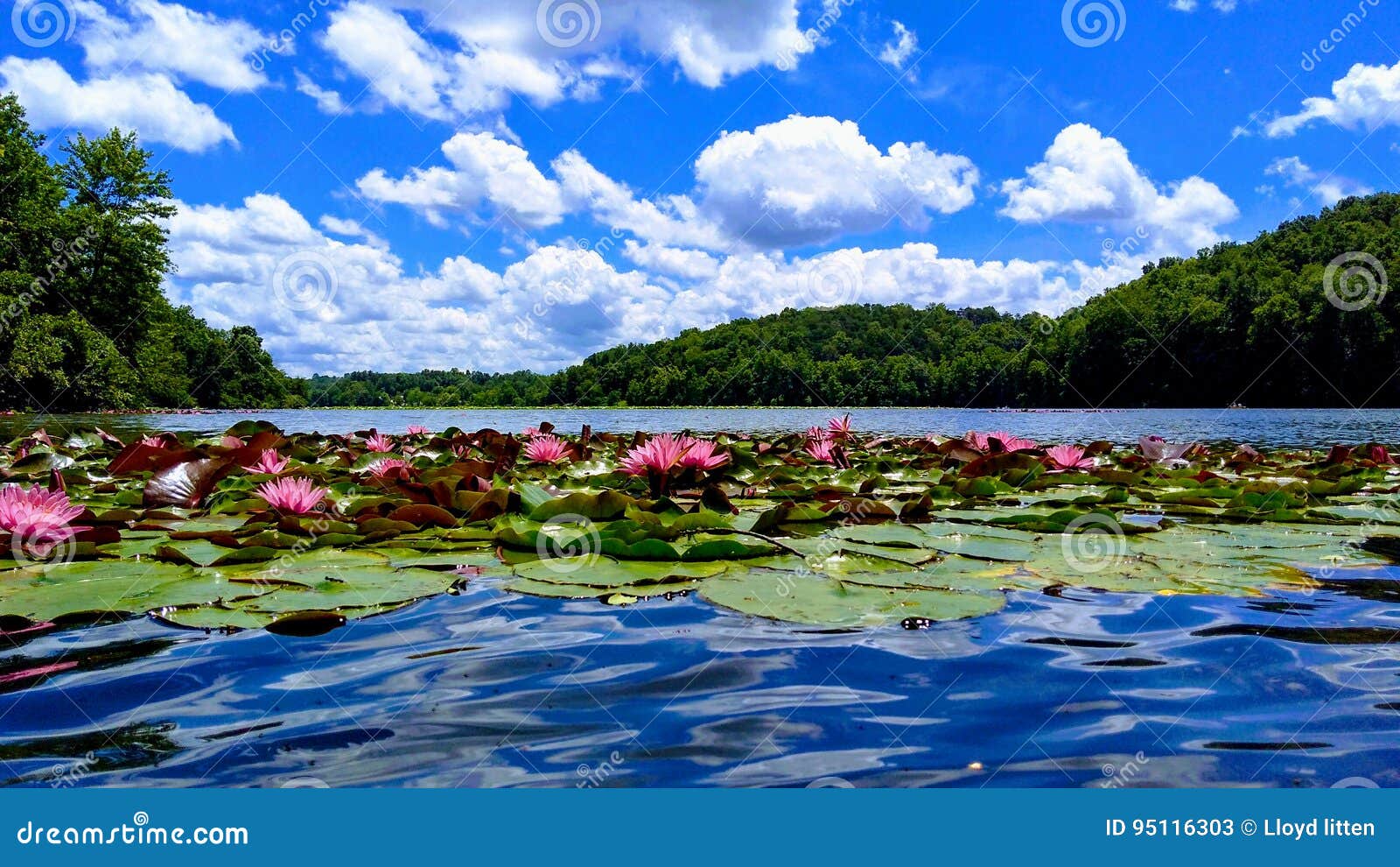 Lake logan stock image. Image of reflection, boating 95116303