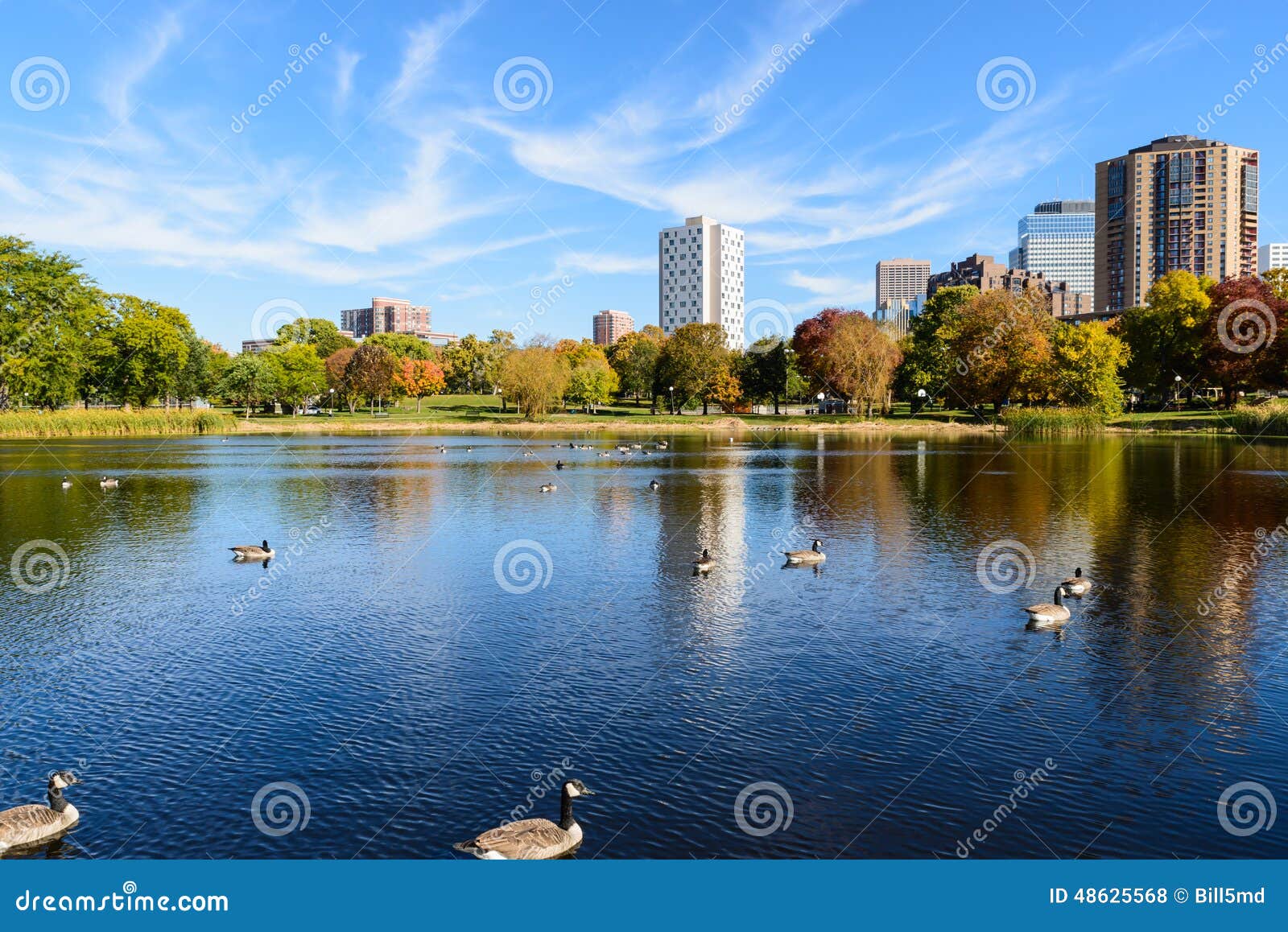 Lake in Loring Park, Minneapolis Stock Photo Image of cityscape, fall