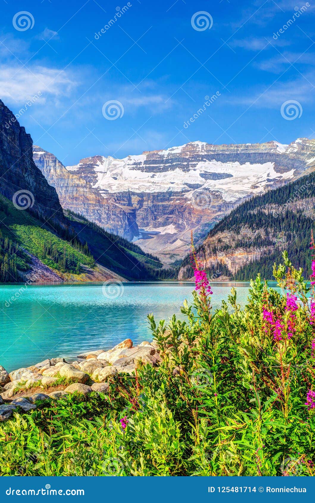 Lake Louise With Mount Victoria Glacier In Banff National Park Stock Photo - Image of landscape ...