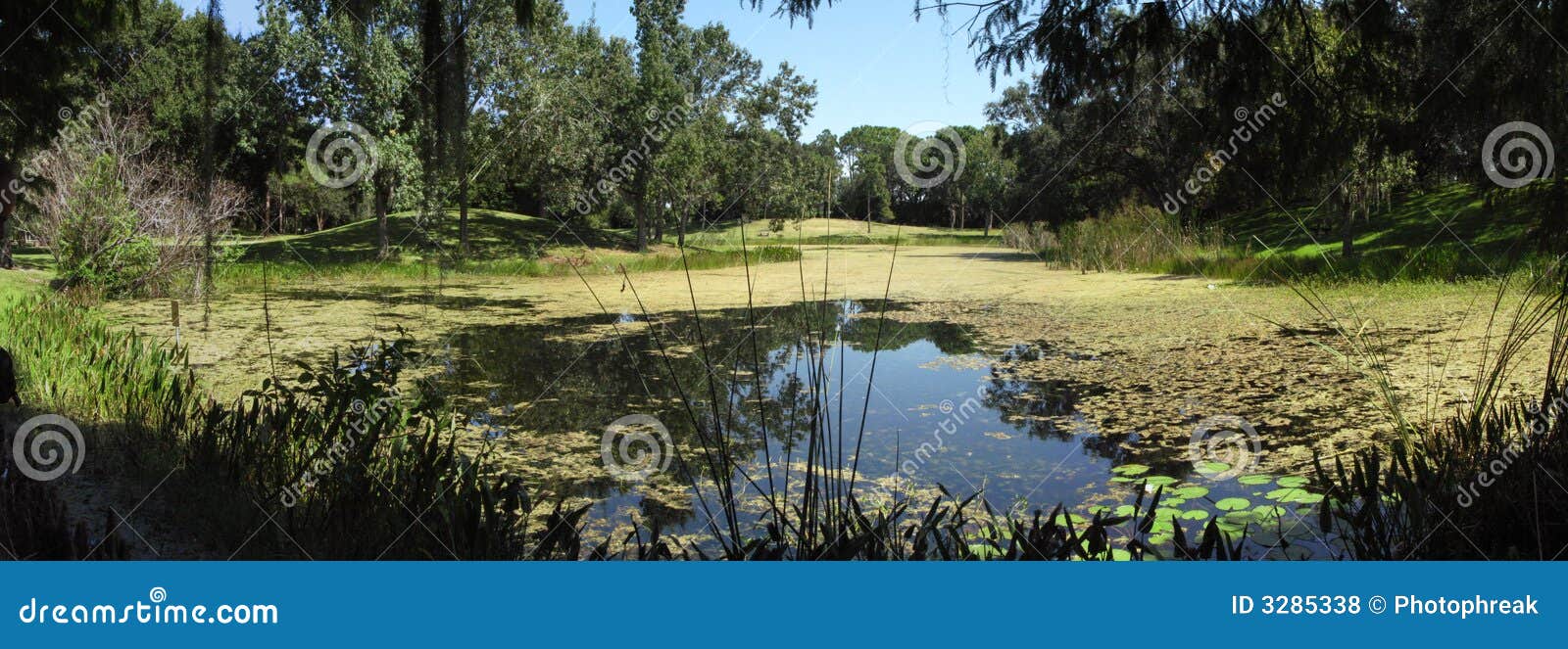 lake in lush park in florida