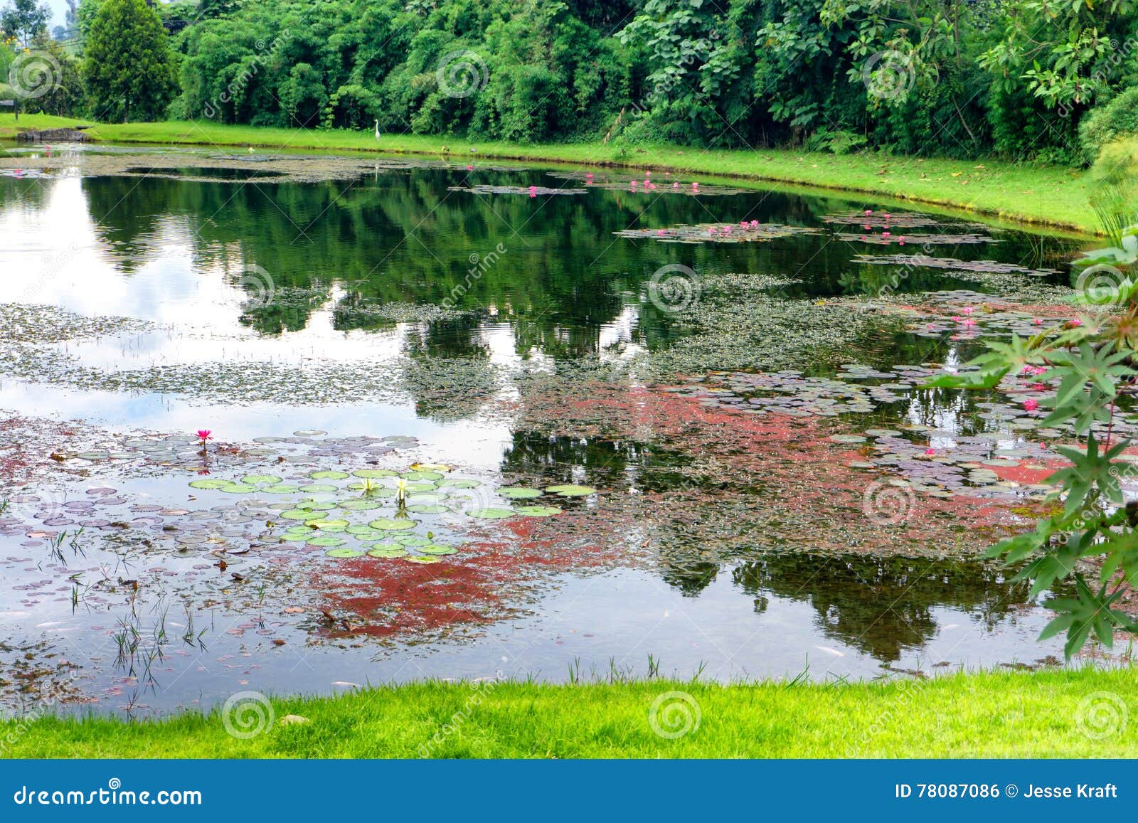 lake in manizales, colombia