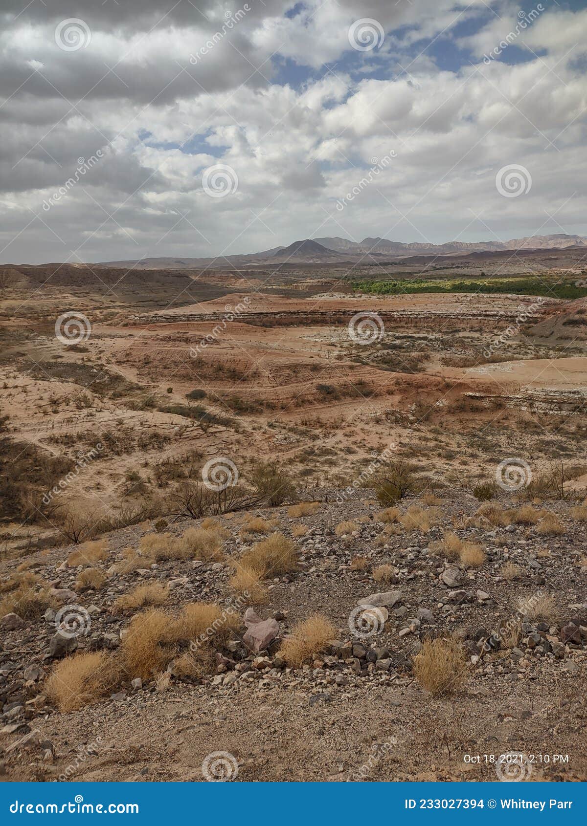 Lake Meade camping stock photo. Image of wood, rock 233027394