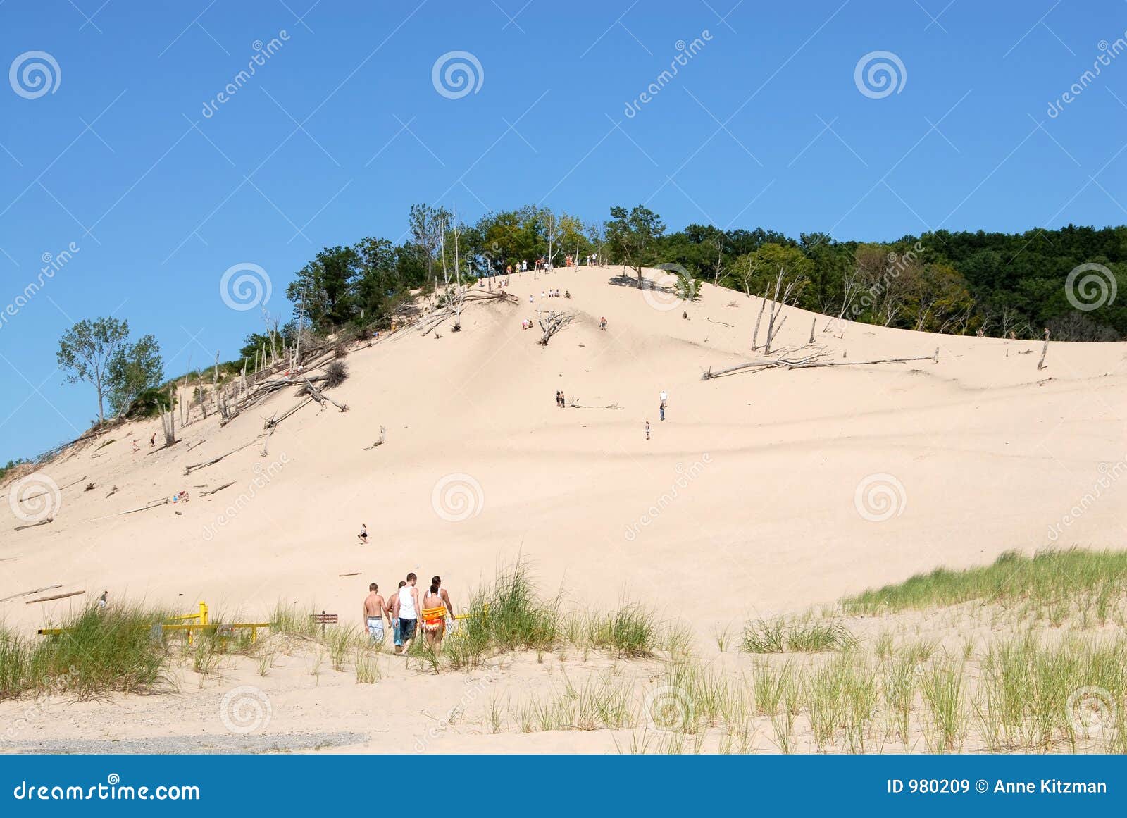 2,289 Lake Michigan Dunes Stock Photos - Free \u0026 Royalty-Free Stock Photos  from Dreamstime, image size:1600x1161