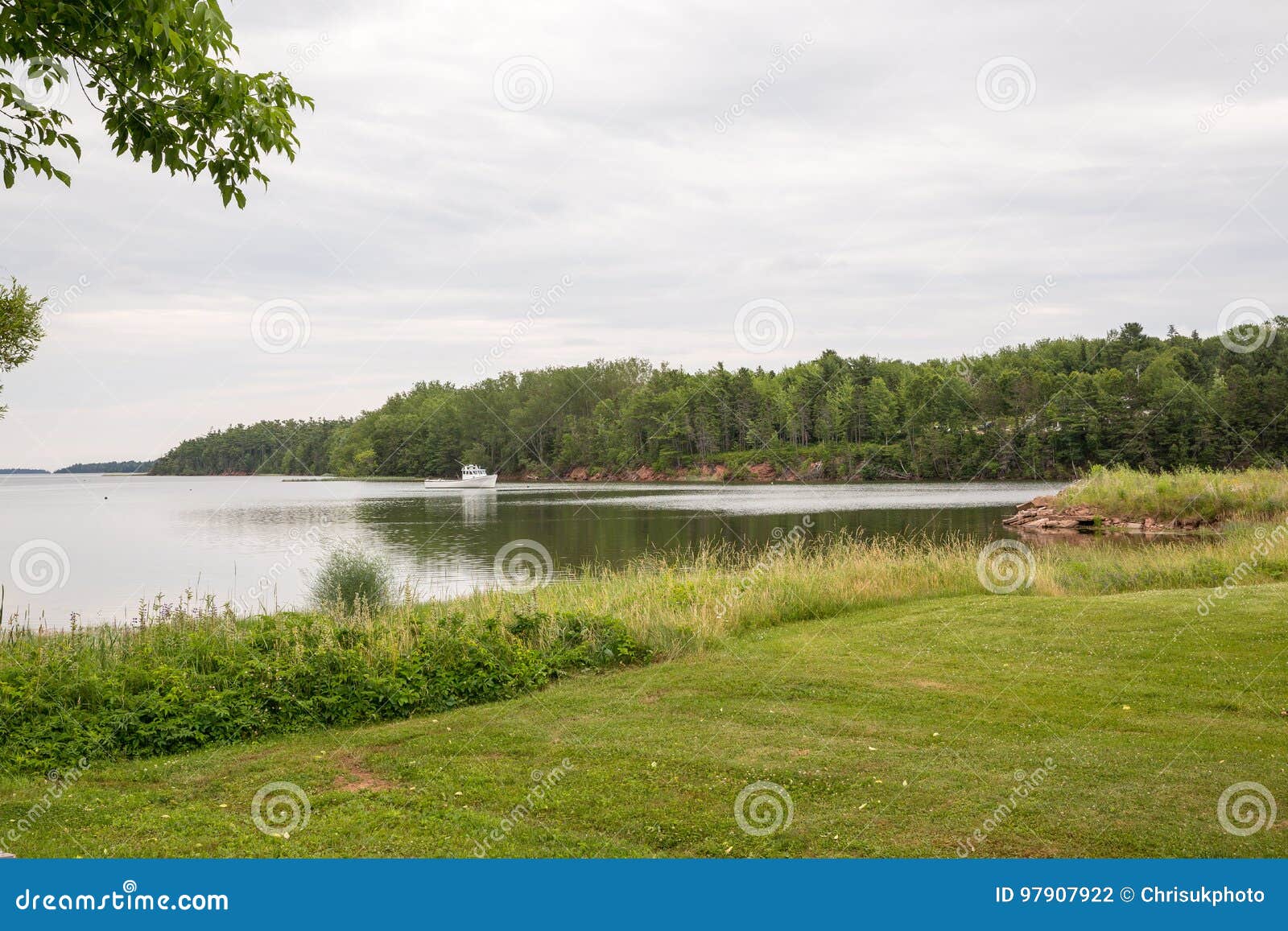 A Lake Near Panmure Island on PEI Stock Photo Image of nature