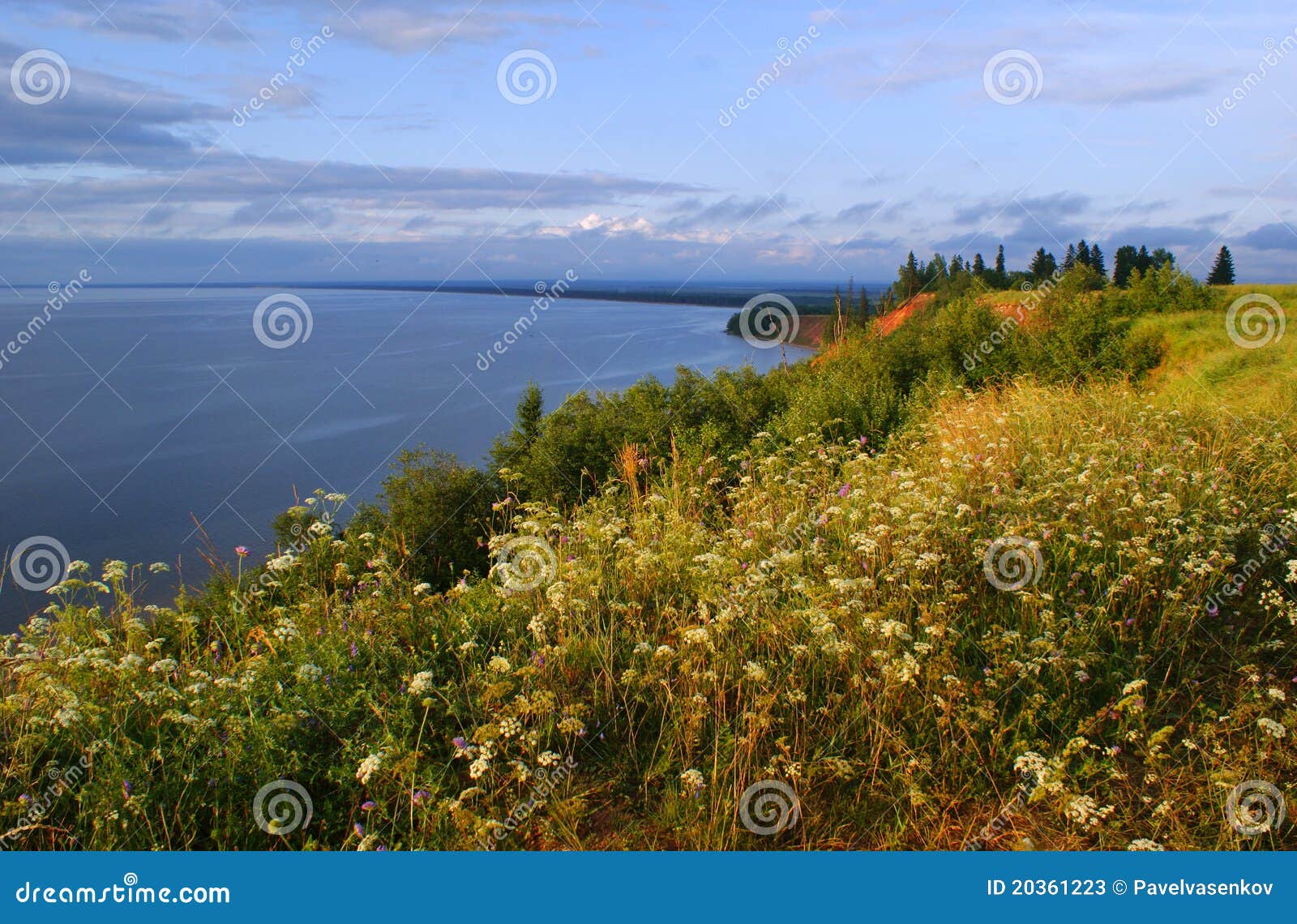Lake onega, Russia stock image. Image of flowers, plants - 20361223