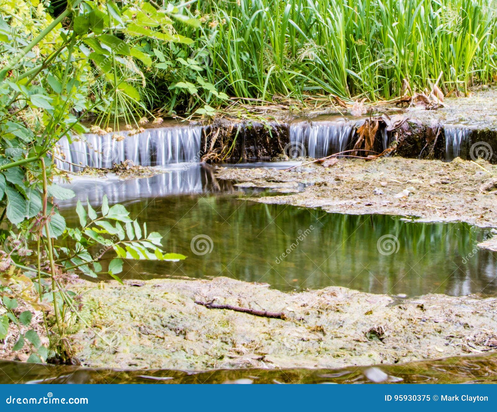 Lake overflow pipe stock image. Image of summer, forest - 95930375