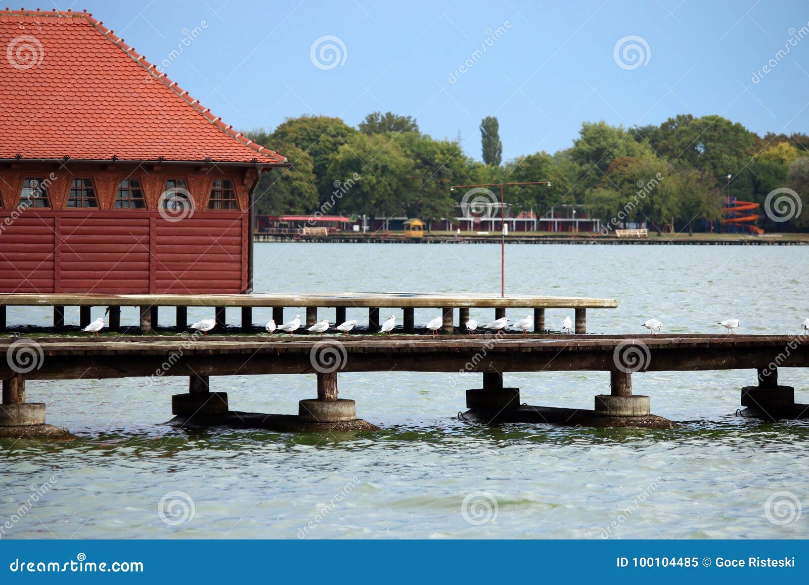 Lake Palic Subotica Serbia Stock Image Image Of Fall 100104485