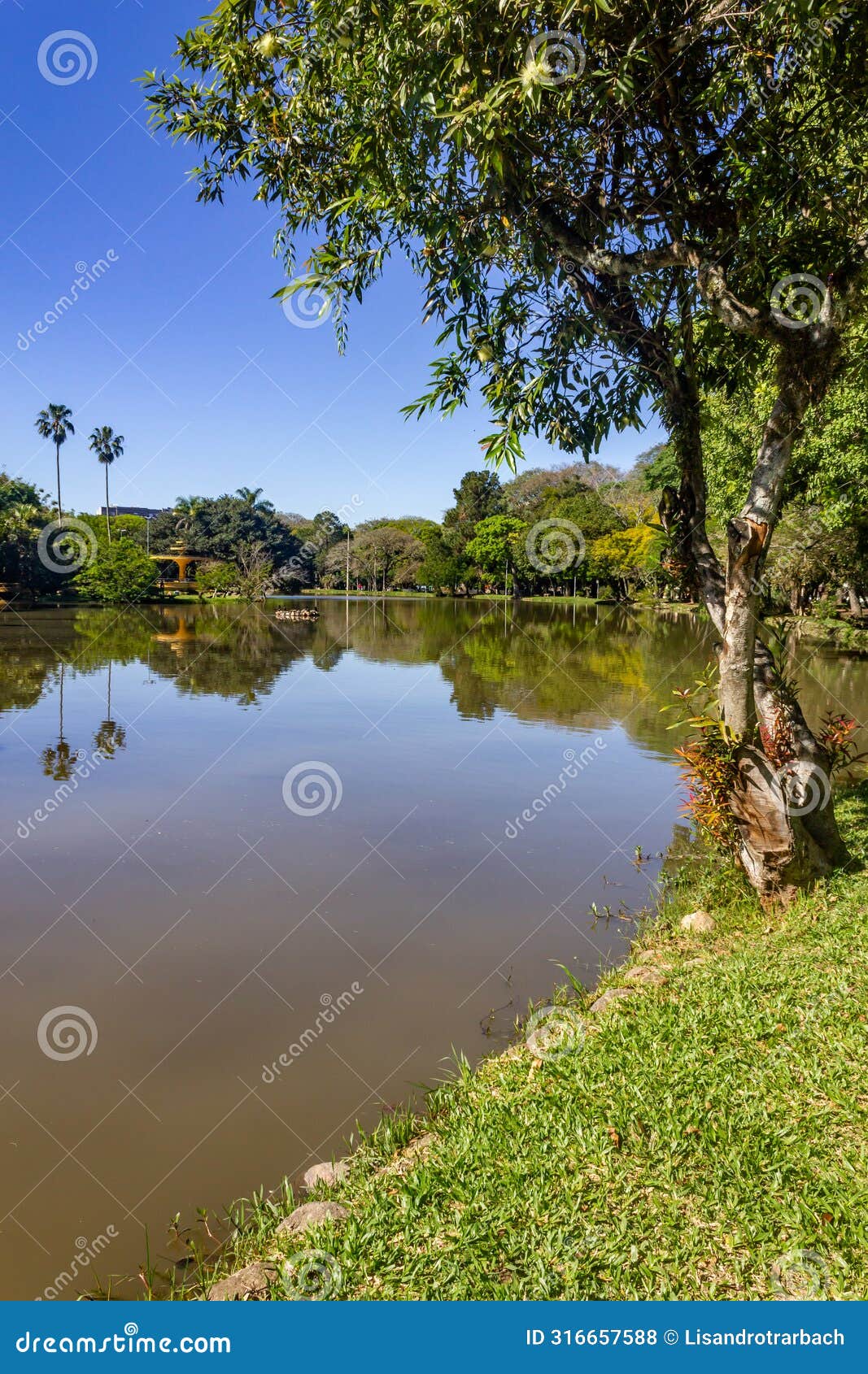 lake in redencao park