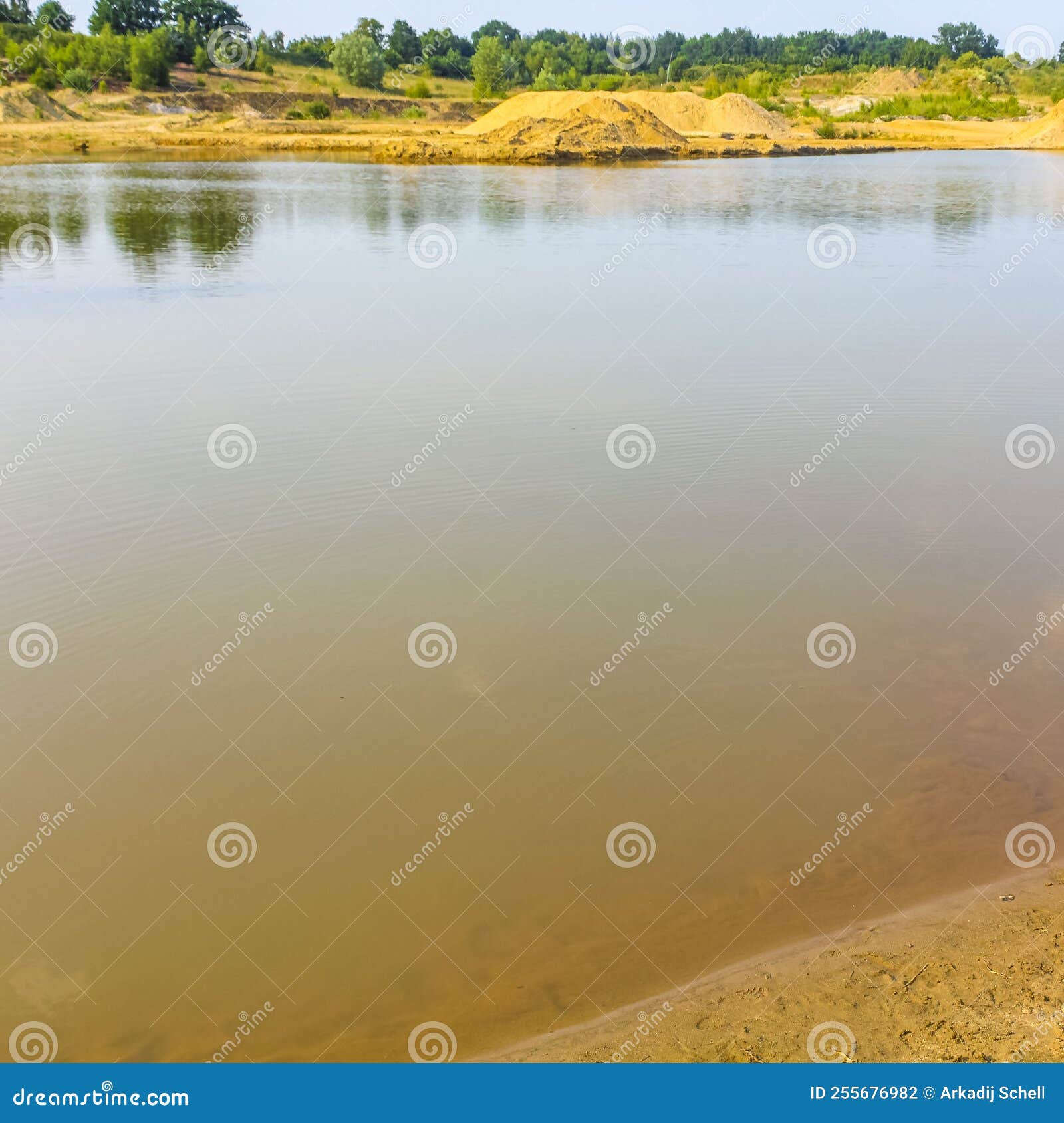 lake river water beach and sand hill forest nature germany