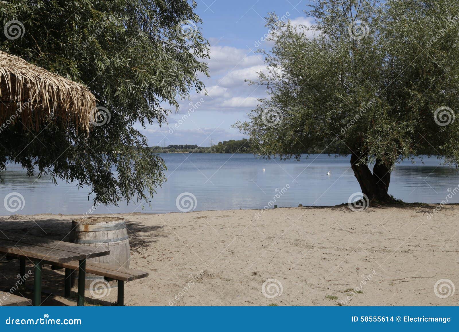 Lake shore with beach bar and olive trees