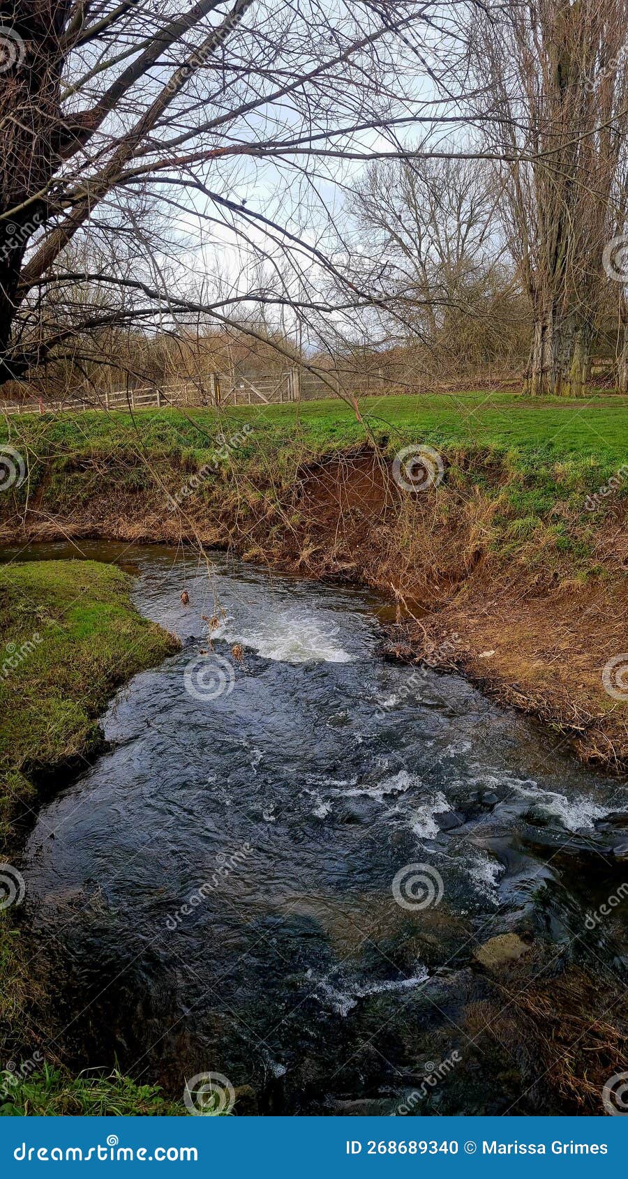 By the Lake Side at Beadle stock photo. Image of water 268689340
