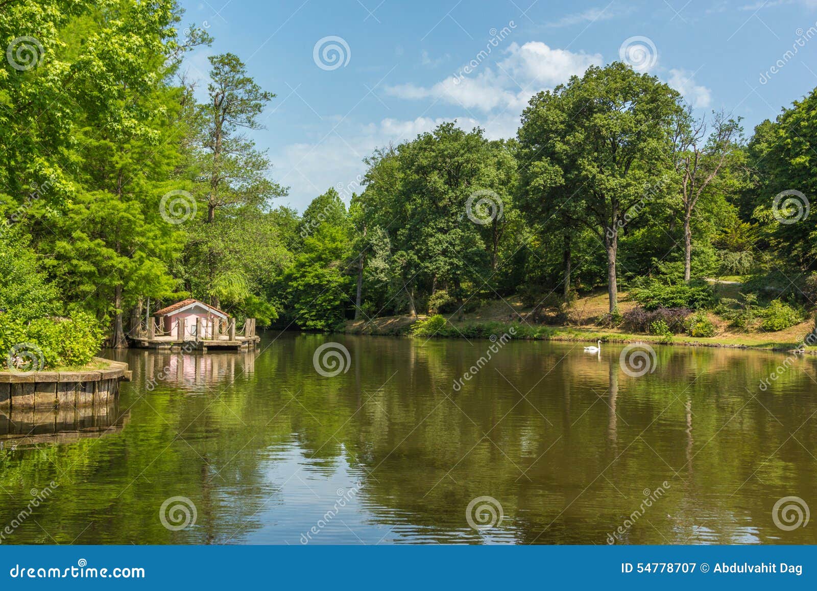 Lake in Spring 2 stock image. Image of plants, travel 54778707