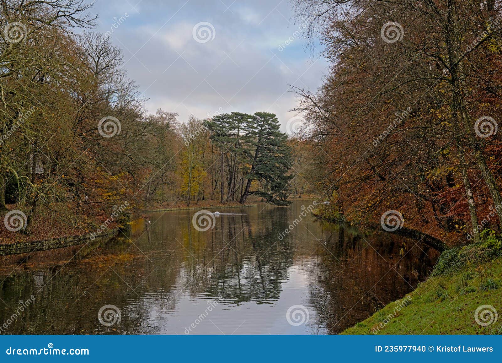 lake surrounded by colourful autumn trees in bois de la chambre park, brussels
