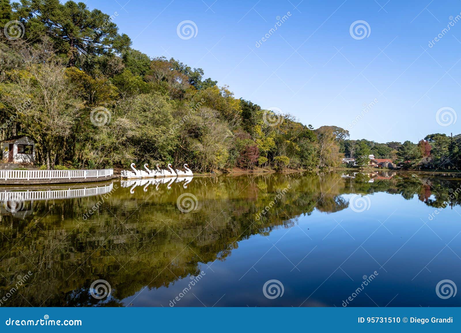 lake with swan pedal boats at immigrant village park parque aldeia do imigrante - nova petropolis, rio grande do sul, brazil