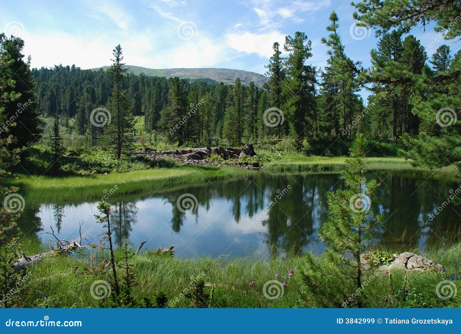 lake in taiga