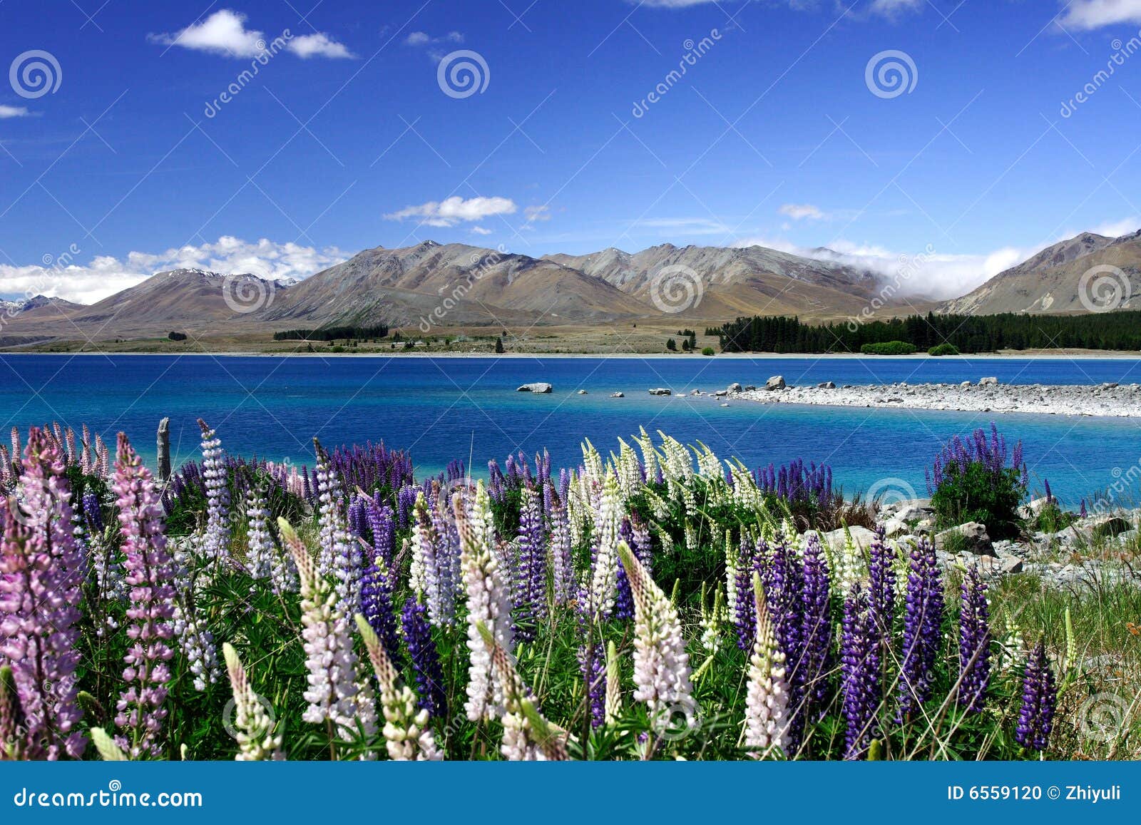 lake tekapo new zealand